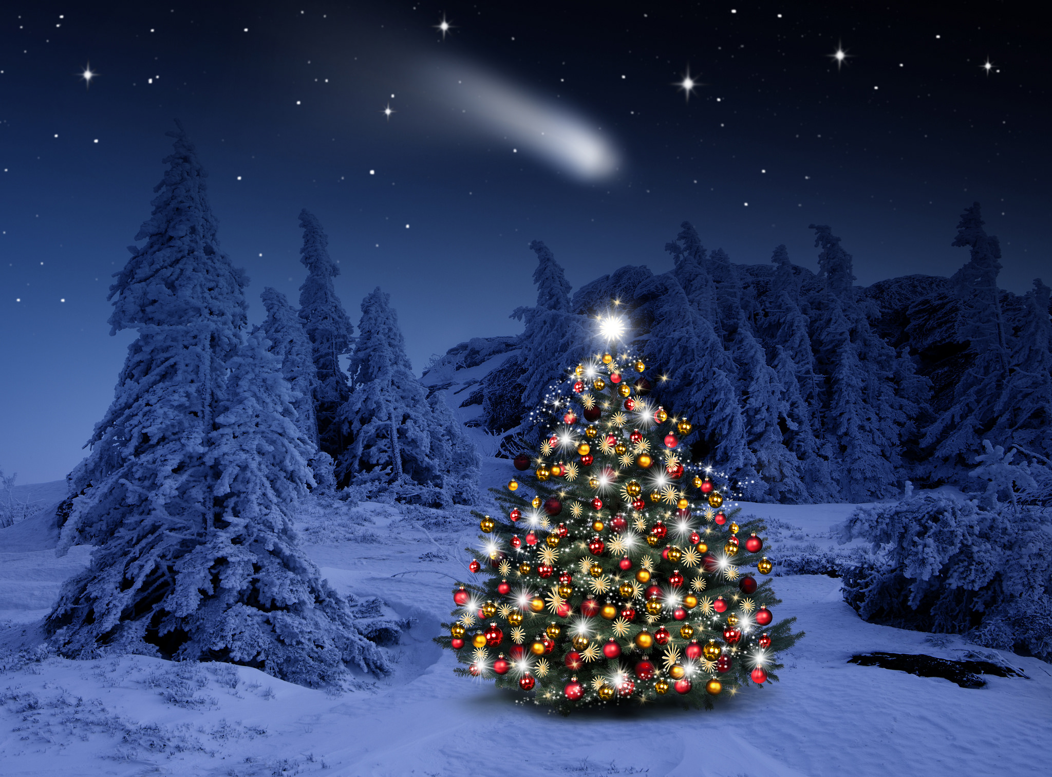 無料モバイル壁紙冬, 雪, クリスマス, 光, 森, クリスマスツリー, ホリデーをダウンロードします。