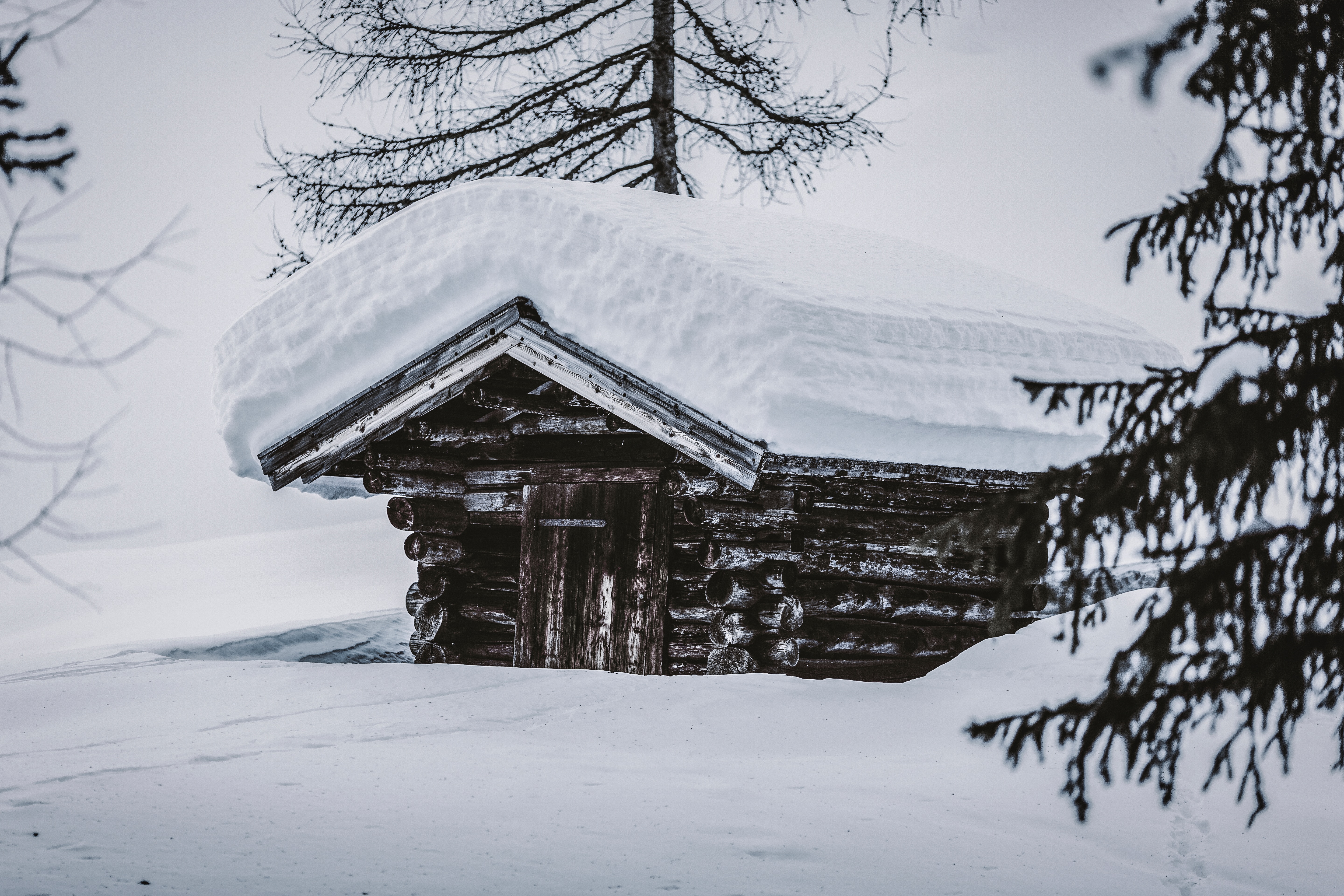 135420 télécharger l'image hiver, nature, neige, bois, en bois, les dérives, dérives, cabane, hutte - fonds d'écran et économiseurs d'écran gratuits