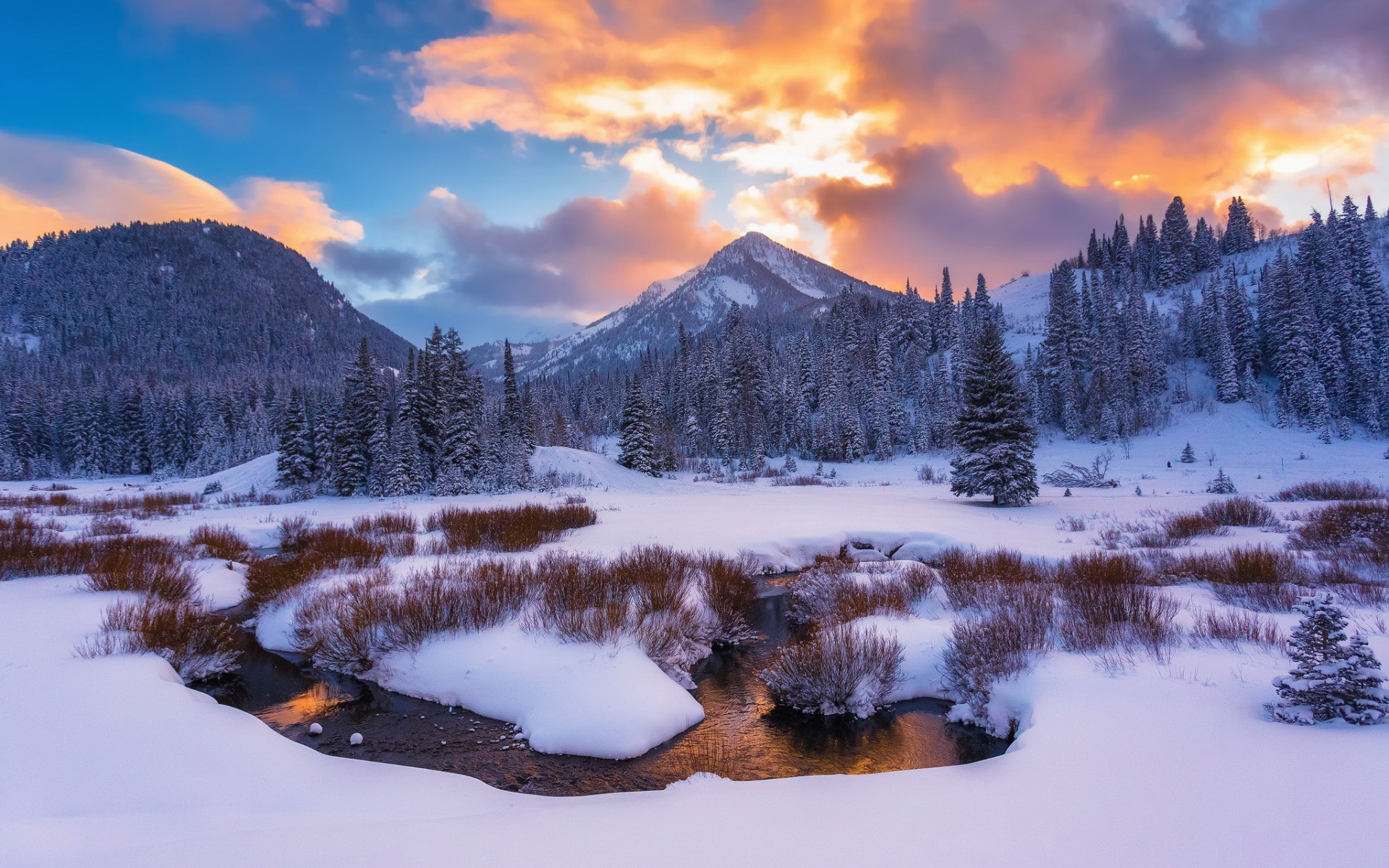 Descarga gratuita de fondo de pantalla para móvil de Invierno, Tierra/naturaleza.