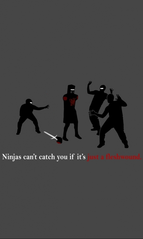 1206512 descargar fondo de pantalla humor, ninjas: protectores de pantalla e imágenes gratis