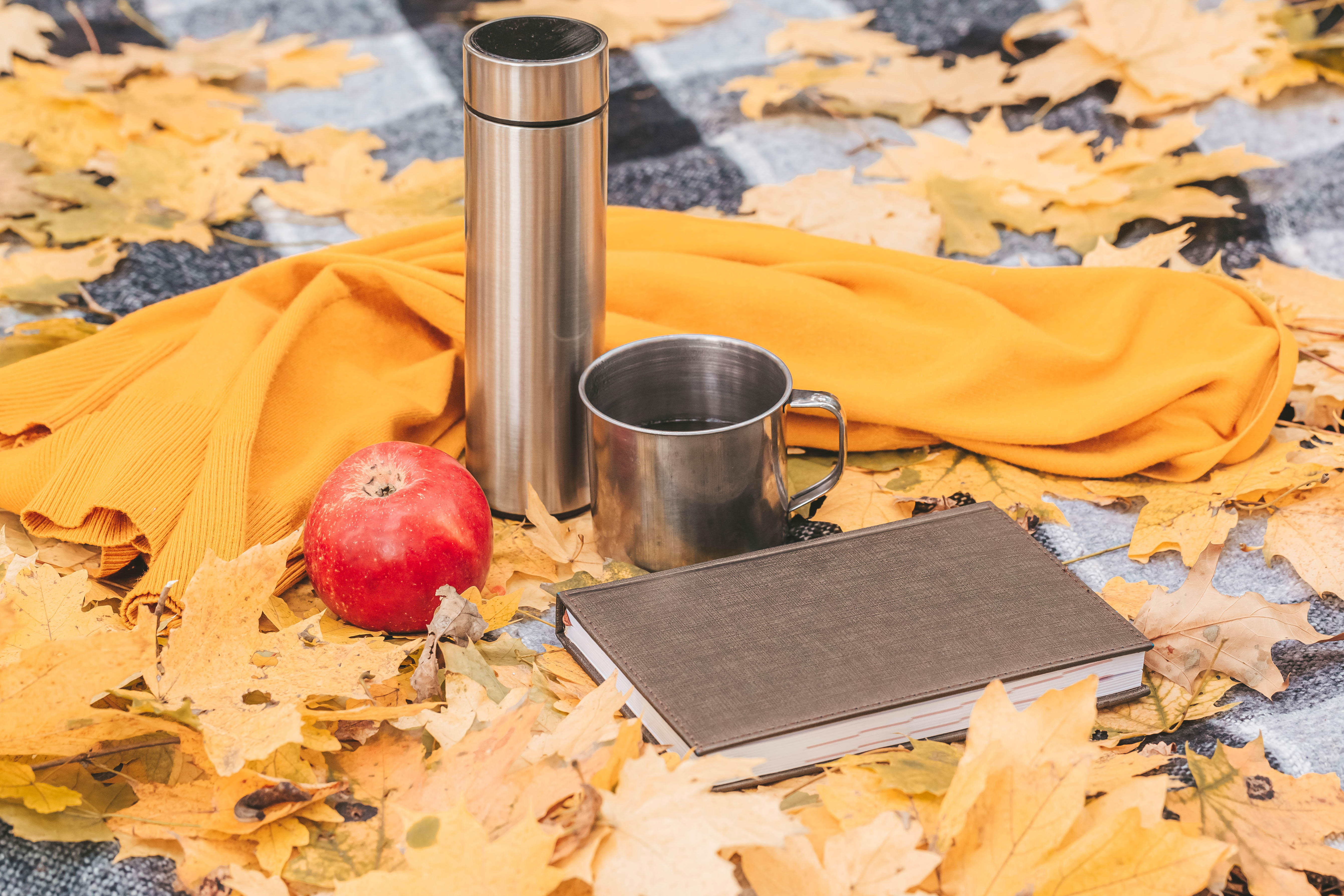apple, autumn, miscellanea, miscellaneous, cup, book, thermos, mug