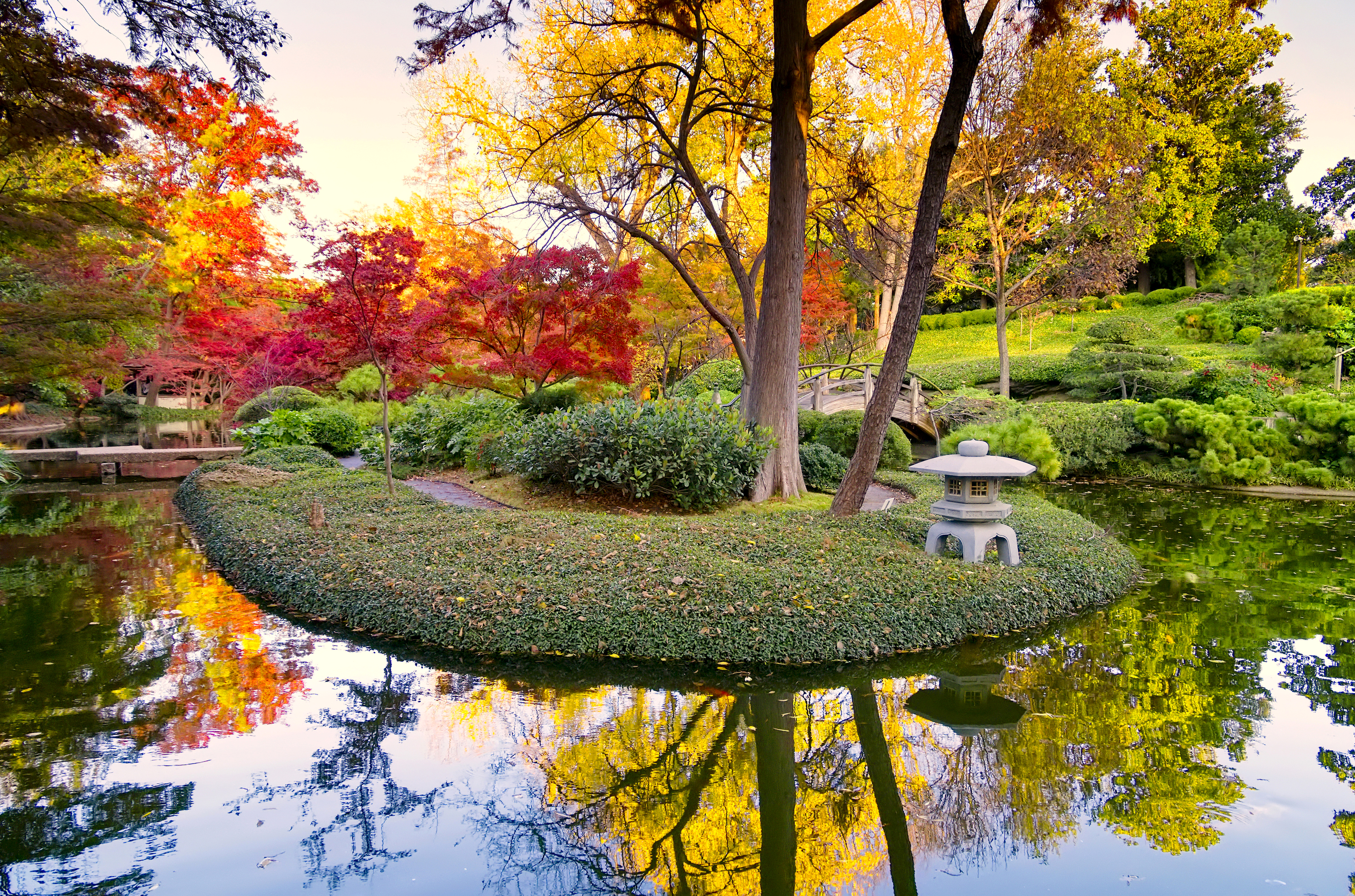 nature, reflection, park, photography, bush, fall, pond, tree