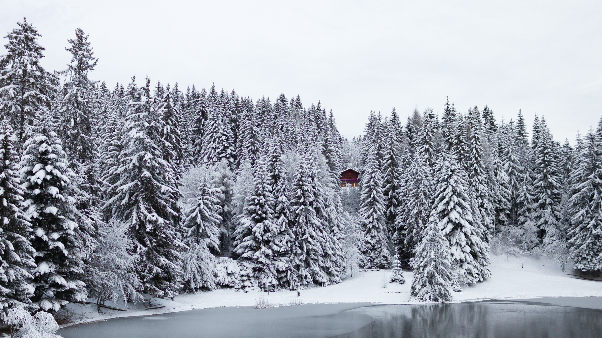 Download mobile wallpaper Winter, Snow, Lake, Forest, Tree, Photography for free.