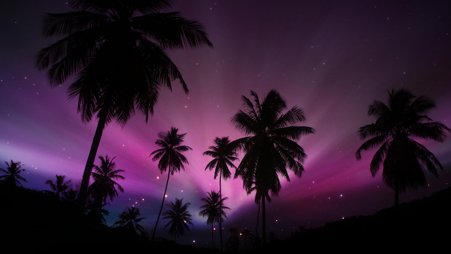 Download mobile wallpaper Sunset, Sky, Silhouette, Starry Sky, Earth, Purple, Tropical, Palm Tree for free.