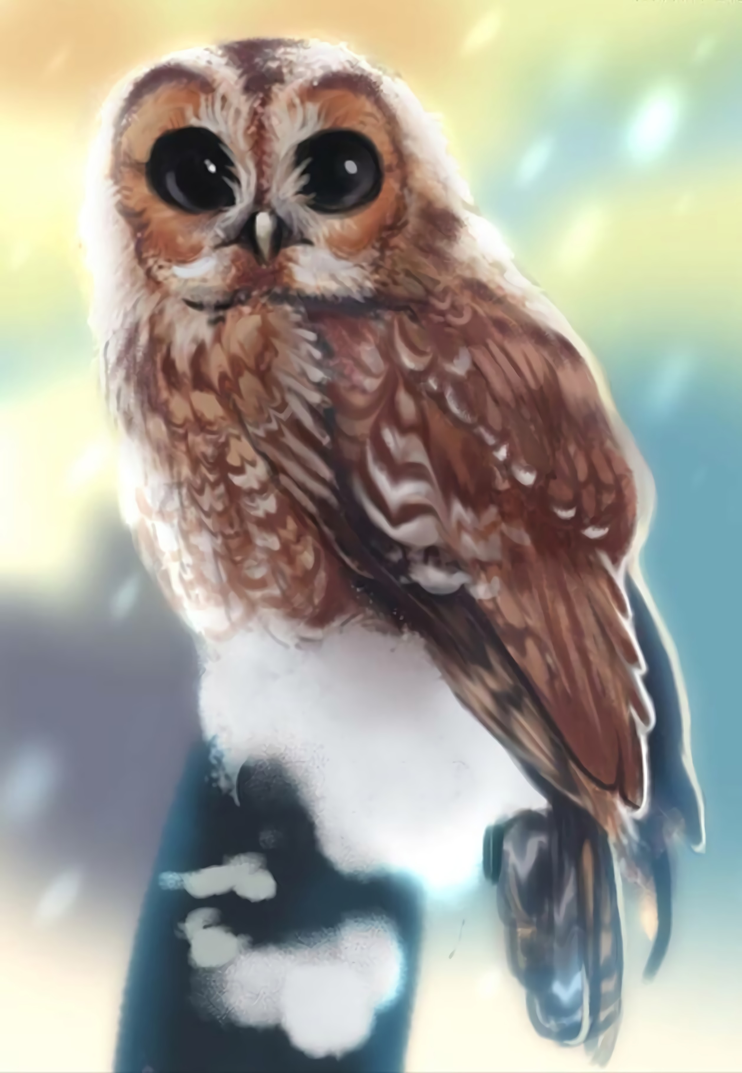 Free download wallpaper Opinion, Sight, Bird, Owl, Art on your PC desktop