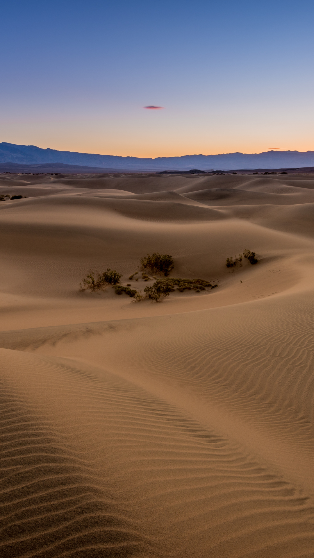Скачати мобільні шпалери Пустеля, Земля, Ранок, Каліфорнія, Дюна, Долина Смерті безкоштовно.