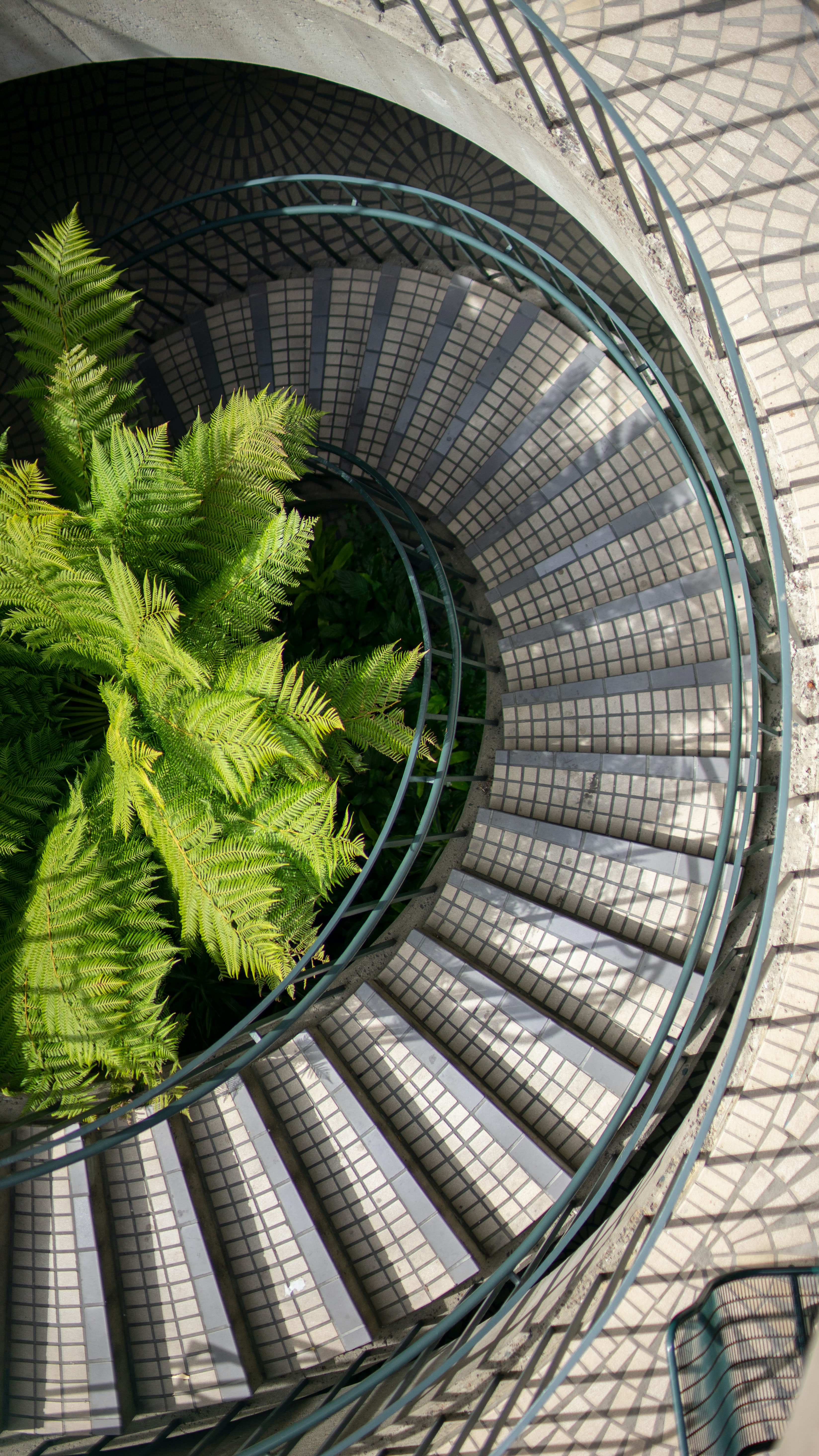 Download mobile wallpaper Ladder, Handrail, Railings, Miscellaneous, Miscellanea, Steps, Fern, Stairs for free.