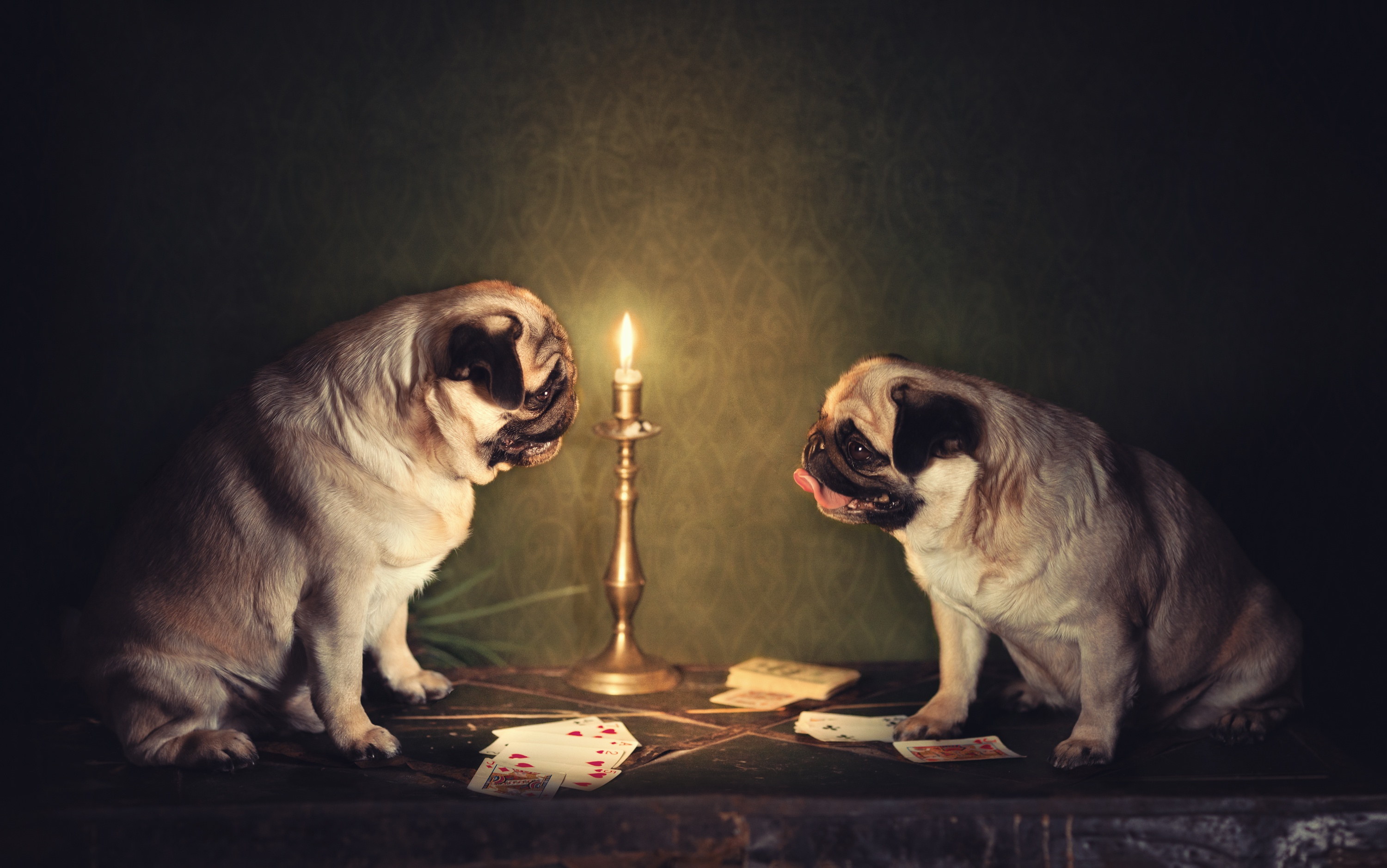 Download mobile wallpaper Dogs, Dog, Animal, Pug, Card for free.