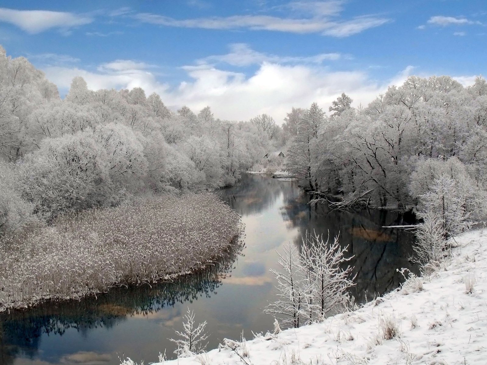 Скачать картинку Река, Деревья, Пейзаж, Зима в телефон бесплатно.