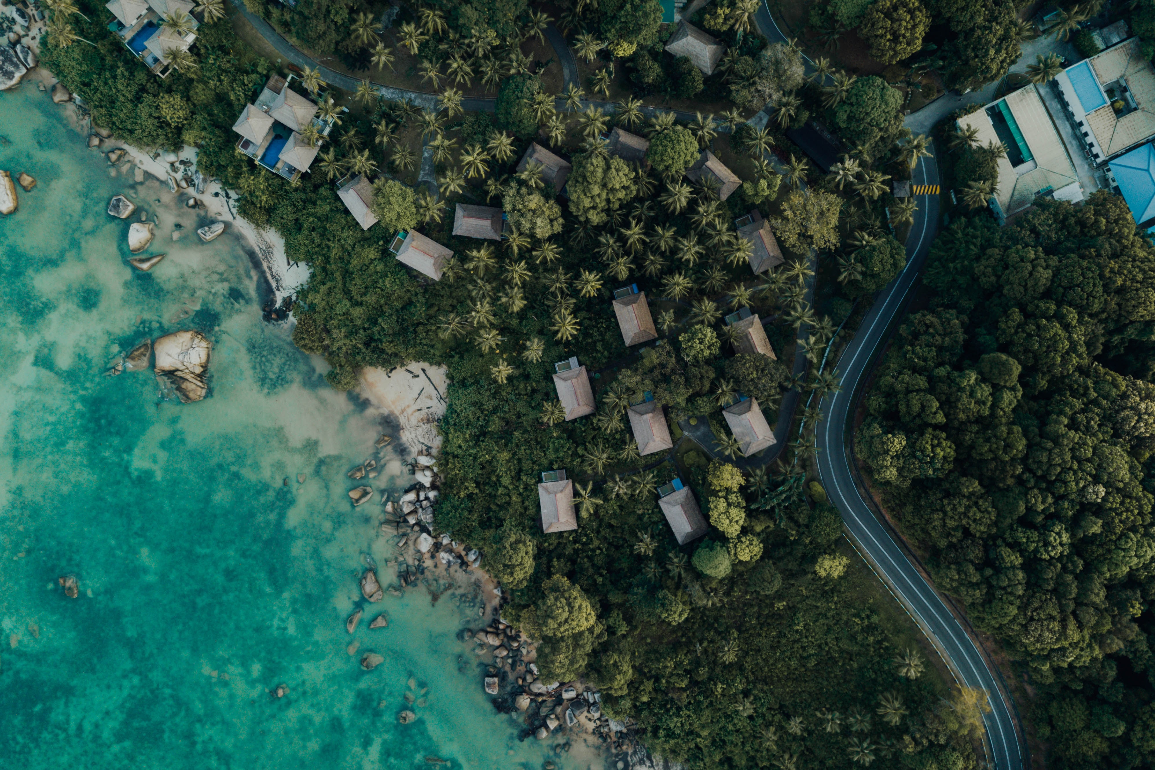 view from above, nature, trees, sea, building, shore, bank 1080p