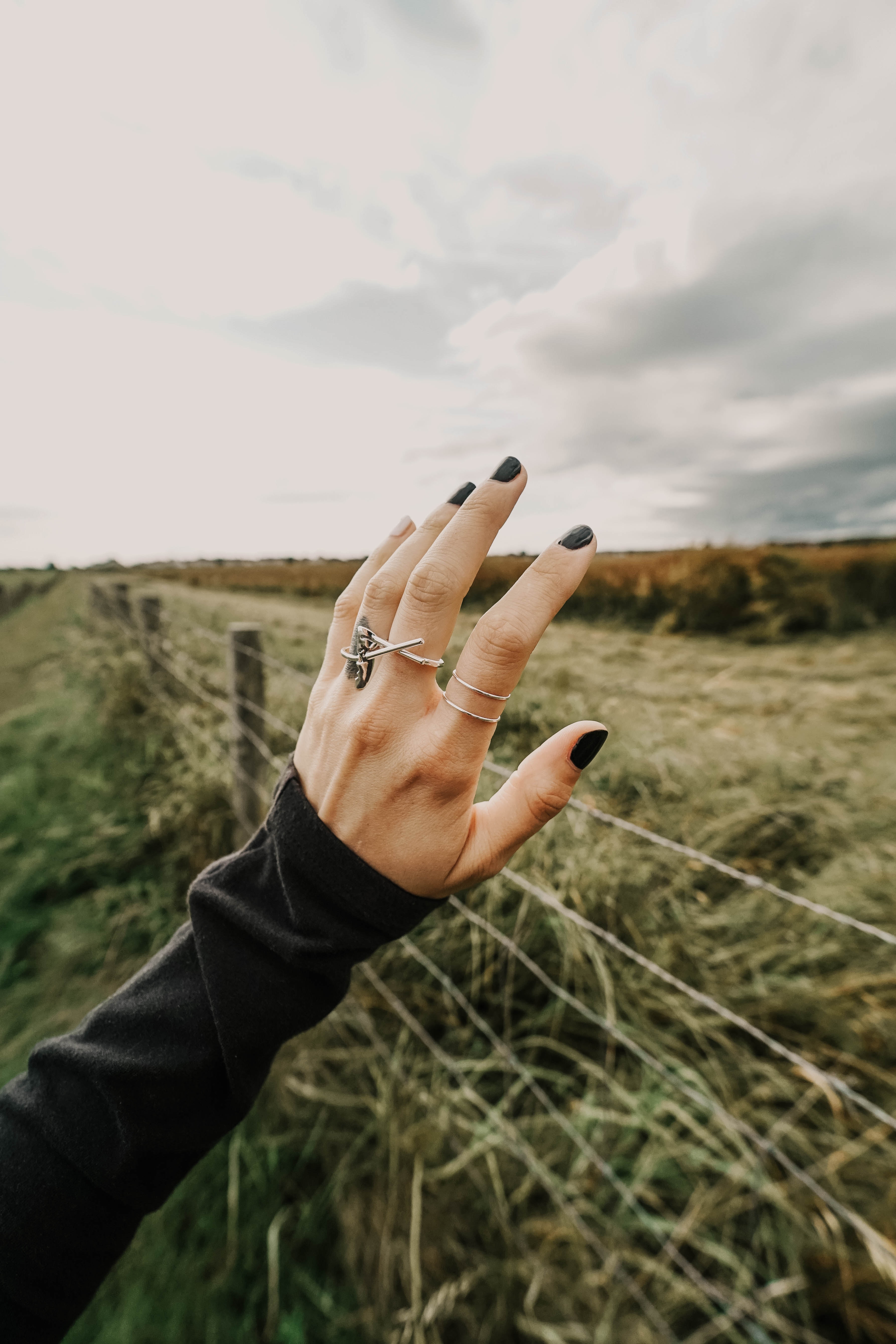 rings, hand, miscellanea, miscellaneous, field, fence, decoration, fingers, manicure