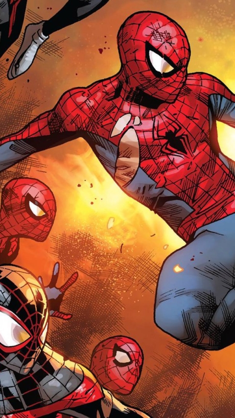 Baixar papel de parede para celular de Homem Aranha, História Em Quadrinhos, Spider Gwen gratuito.