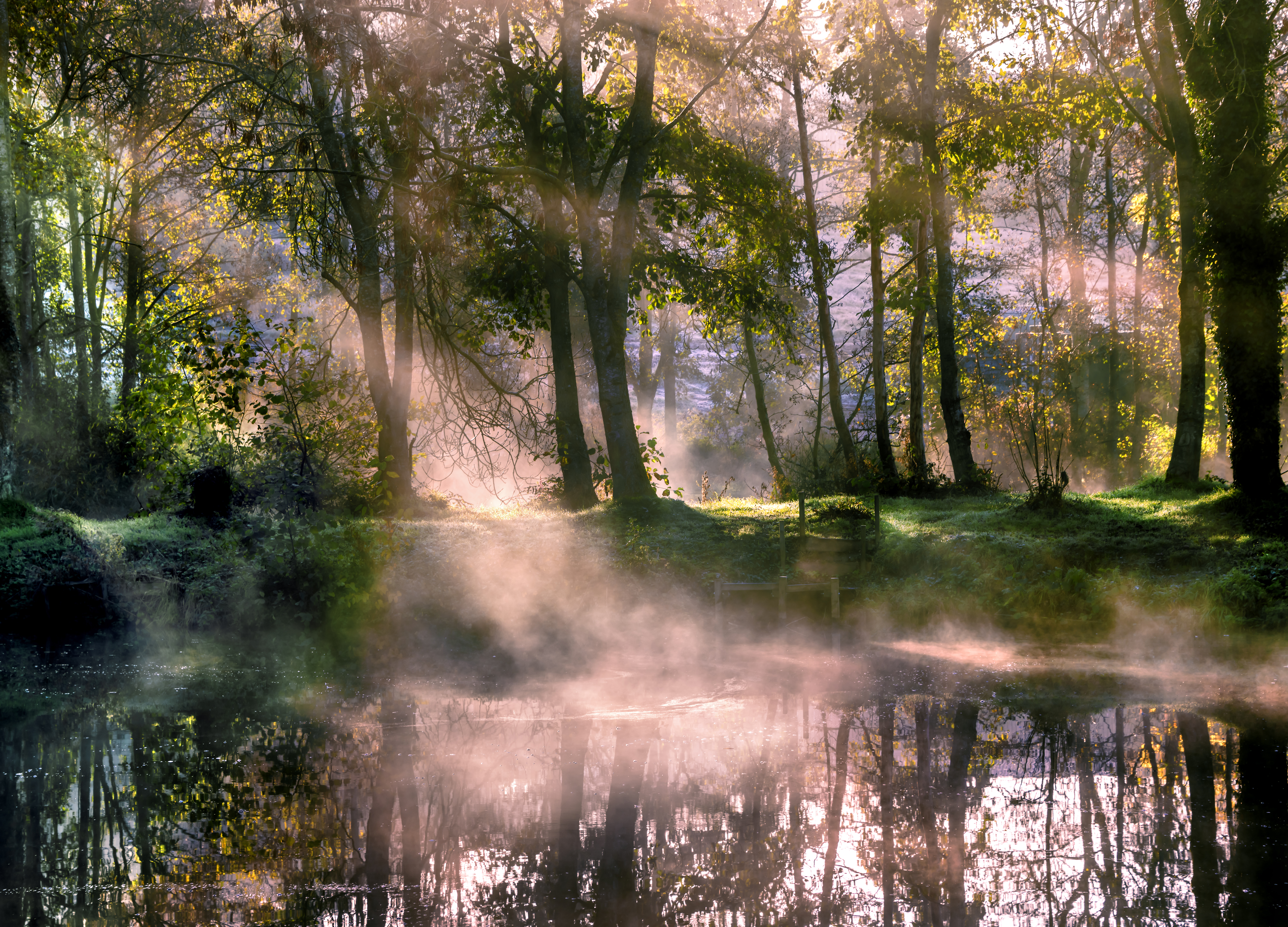 PCデスクトップに木, 湖, 自然, 霧, 朝, 日光画像を無料でダウンロード