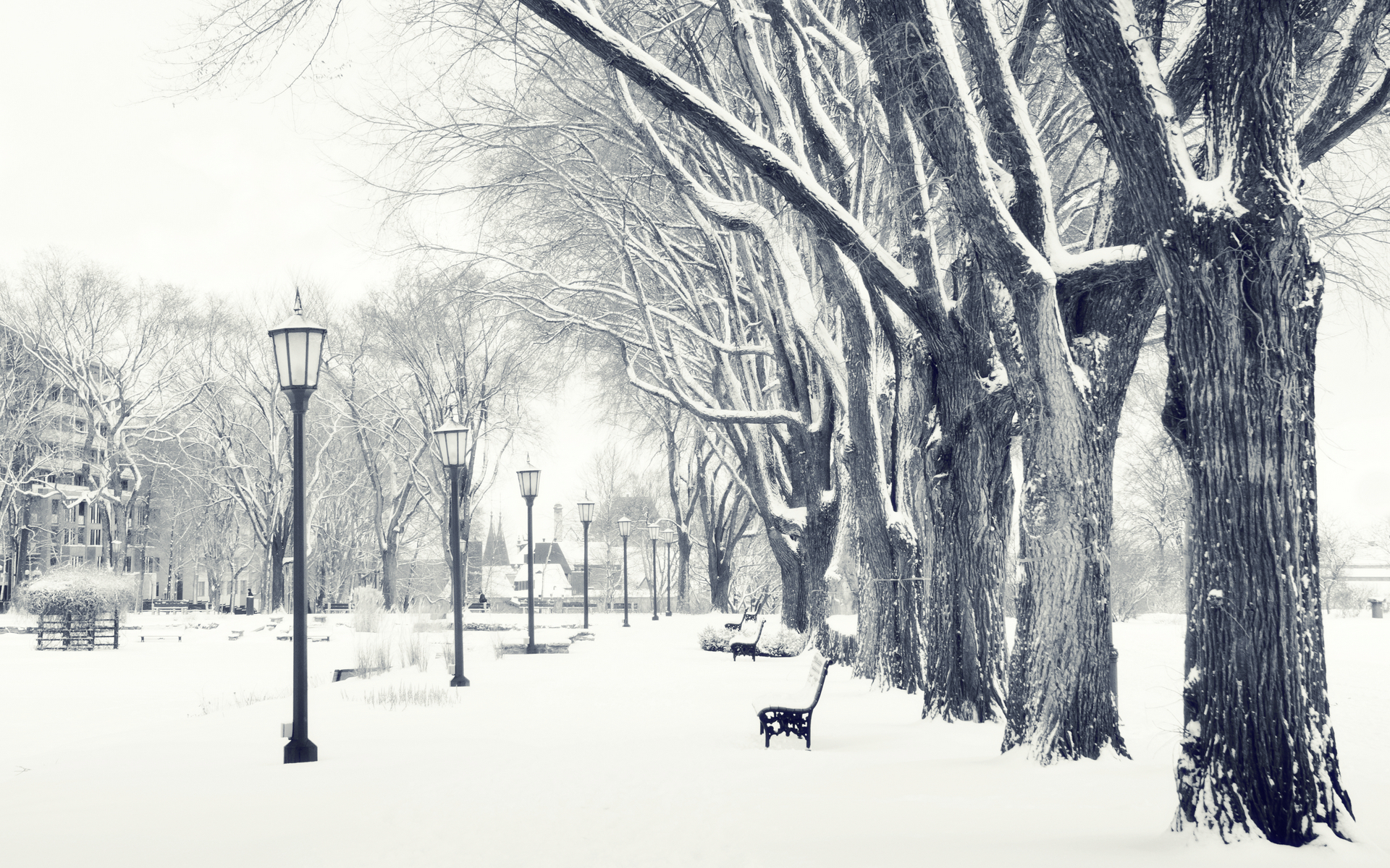 Free download wallpaper Winter, Photography on your PC desktop