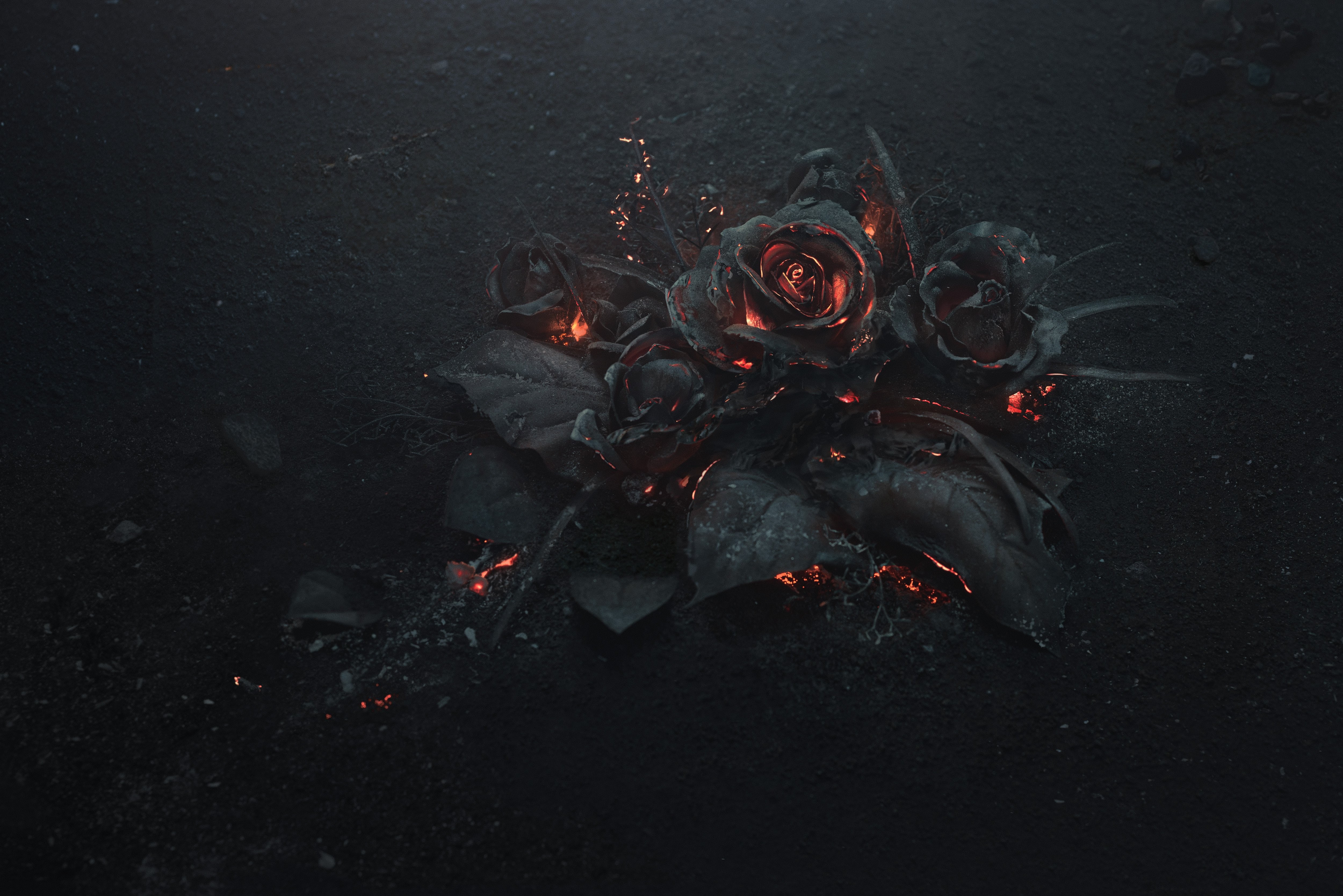 Laden Sie das Feuer, Blume, Rose, Künstlerisch-Bild kostenlos auf Ihren PC-Desktop herunter