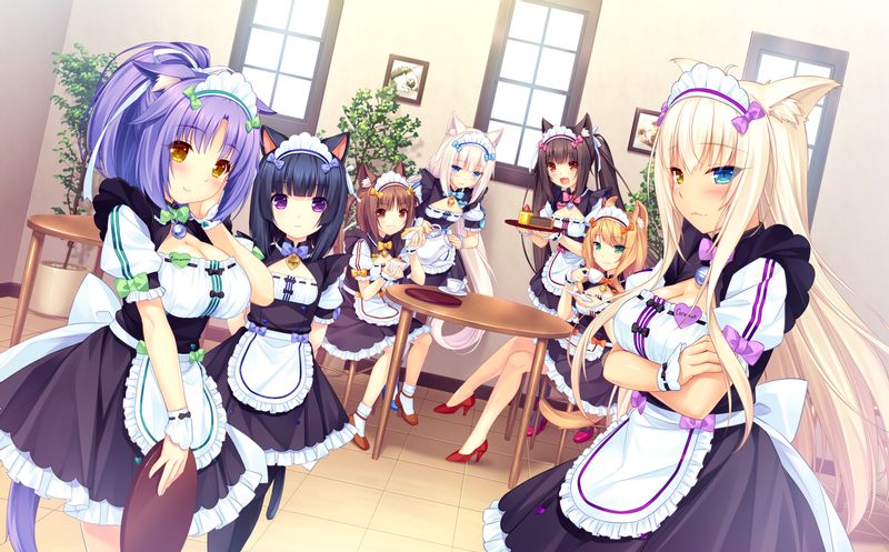 猫娘デスクトップ用ライブ壁紙、無料でダウンロード猫娘 PC用のイメージと背景画像 | mob.org