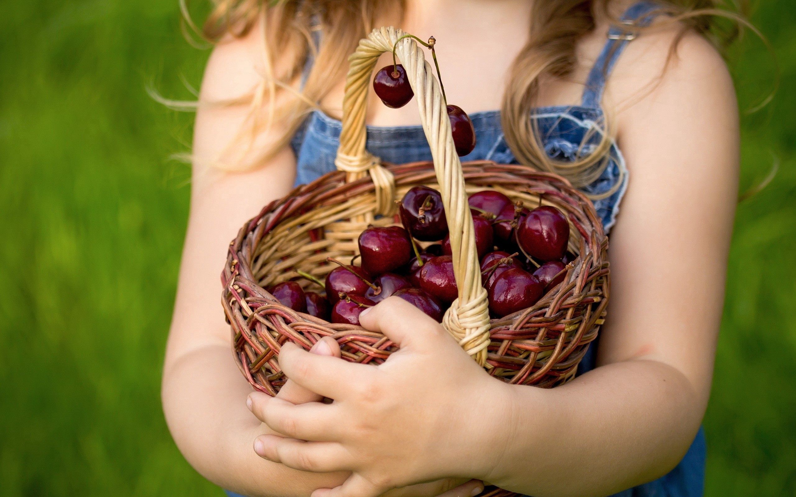 sweet cherry, food, berries, hands, basket