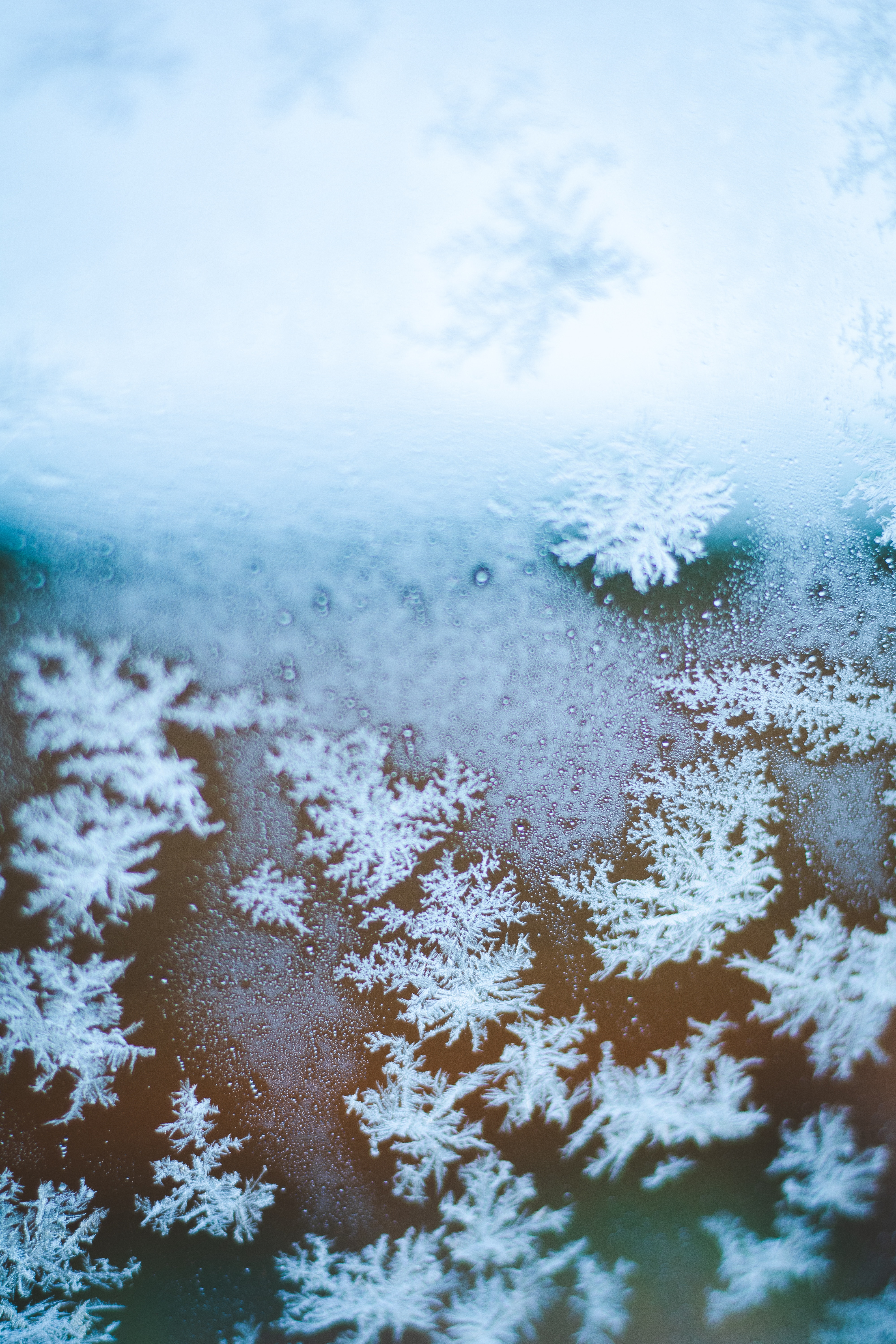 snowflakes, ice, macro, glass phone wallpaper