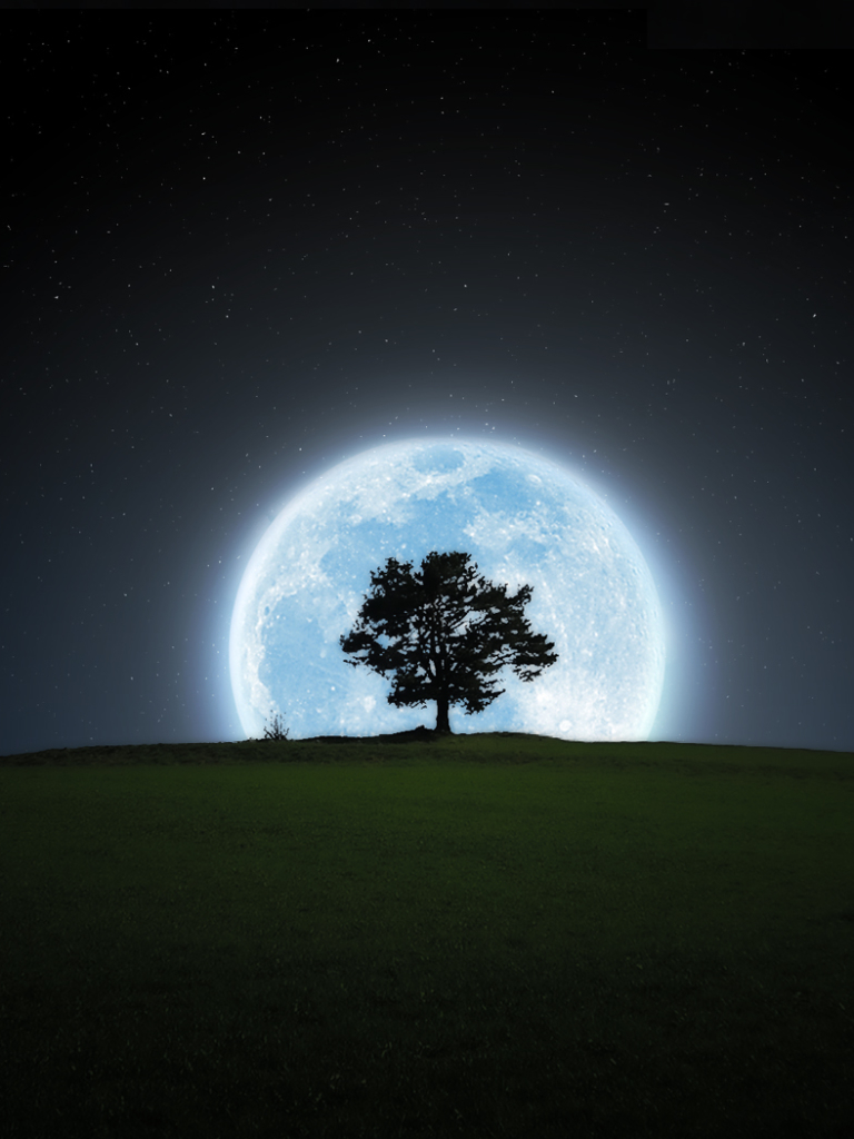 Скачать картинку Ночь, Луна, Силуэт, Дерево, Земля/природа в телефон бесплатно.