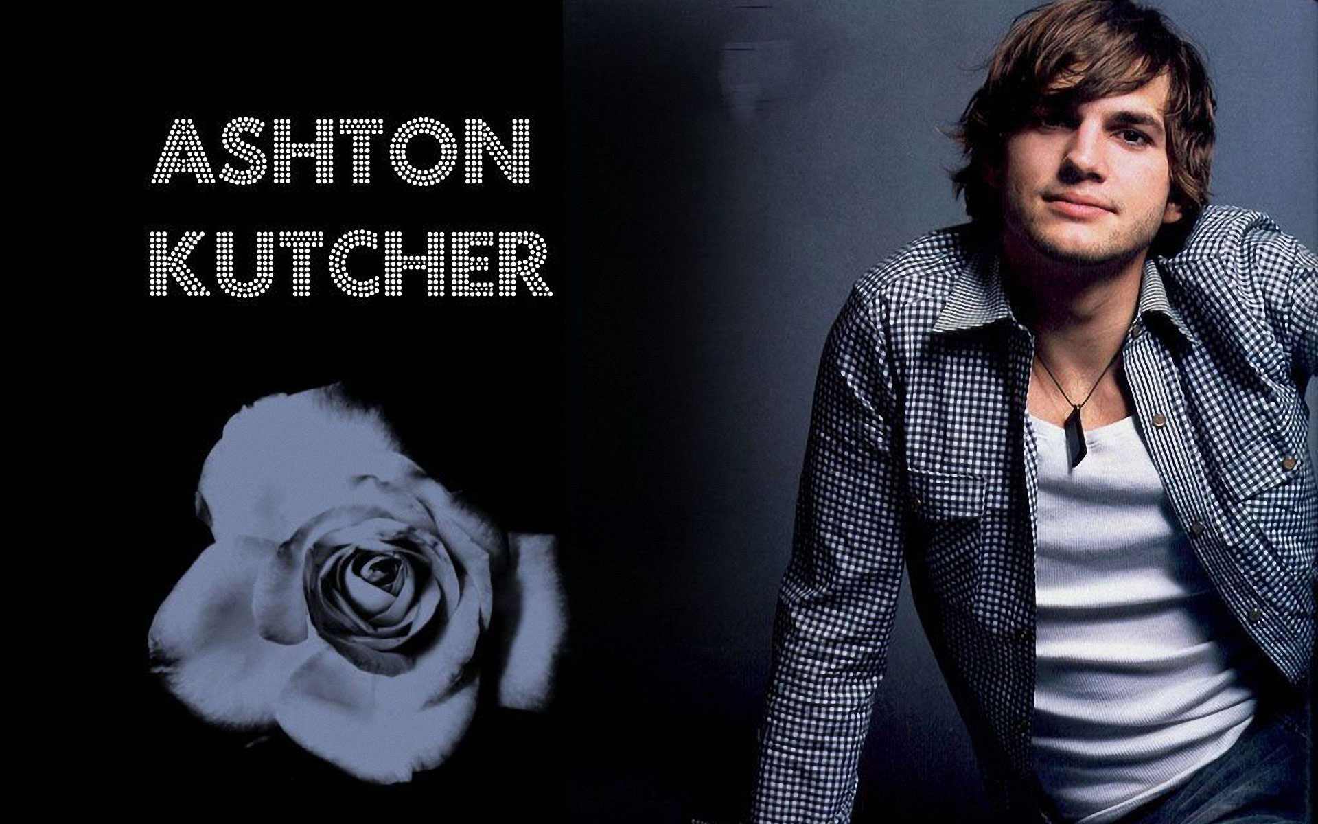 celebrity, ashton kutcher