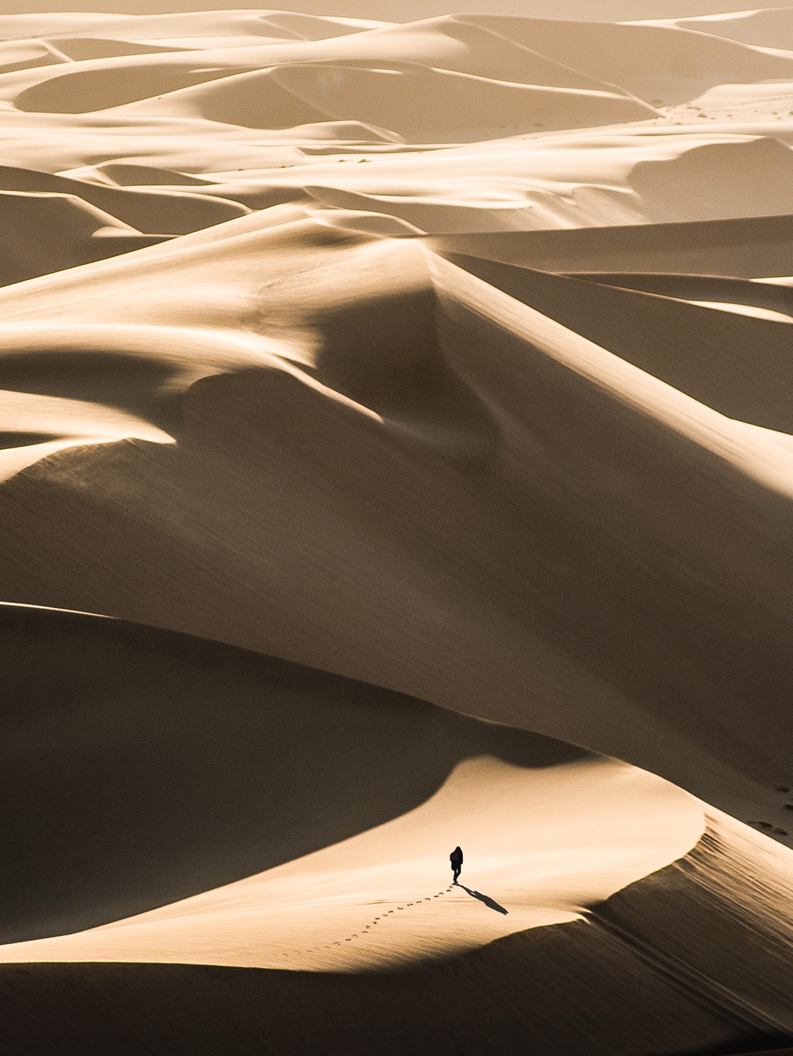 100353 скачать картинку пустыня, природа, песок, силуэт, одинокий, странник, дюны - обои и заставки бесплатно