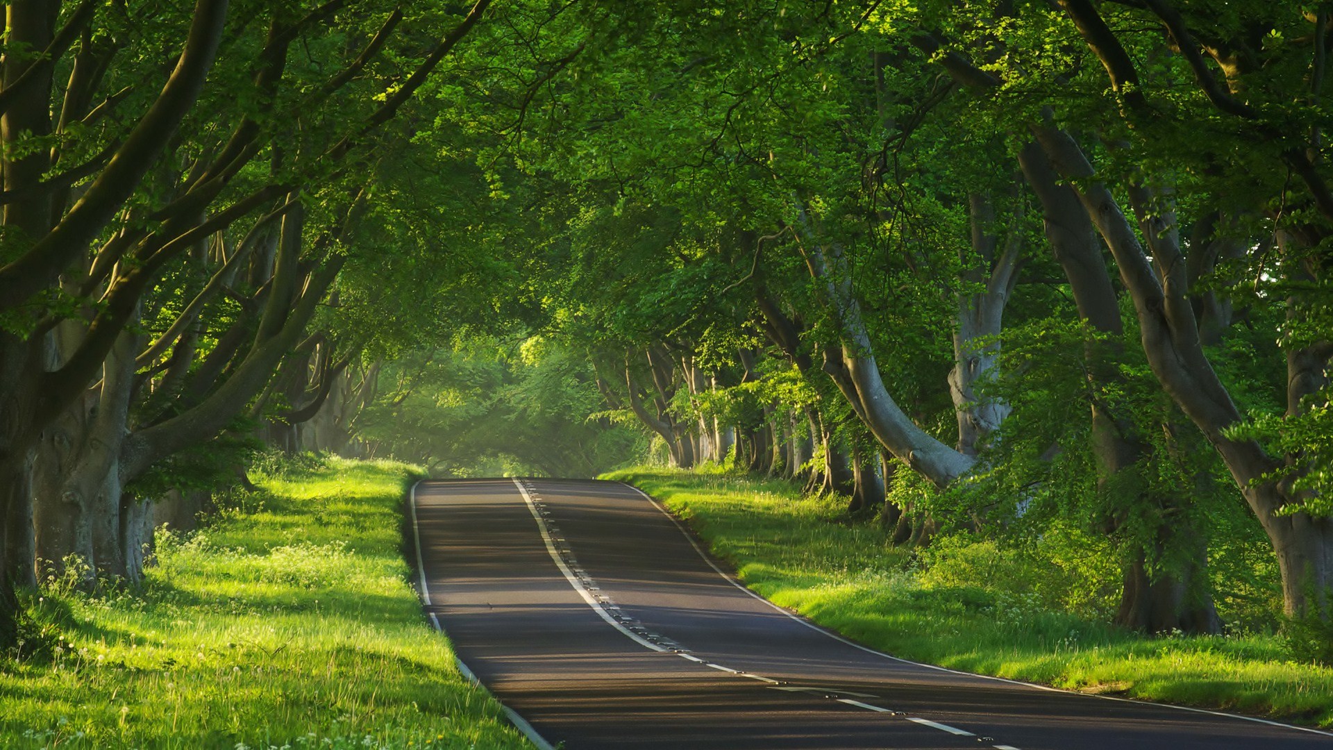 Baixar papel de parede para celular de Estrada, Feito Pelo Homem gratuito.