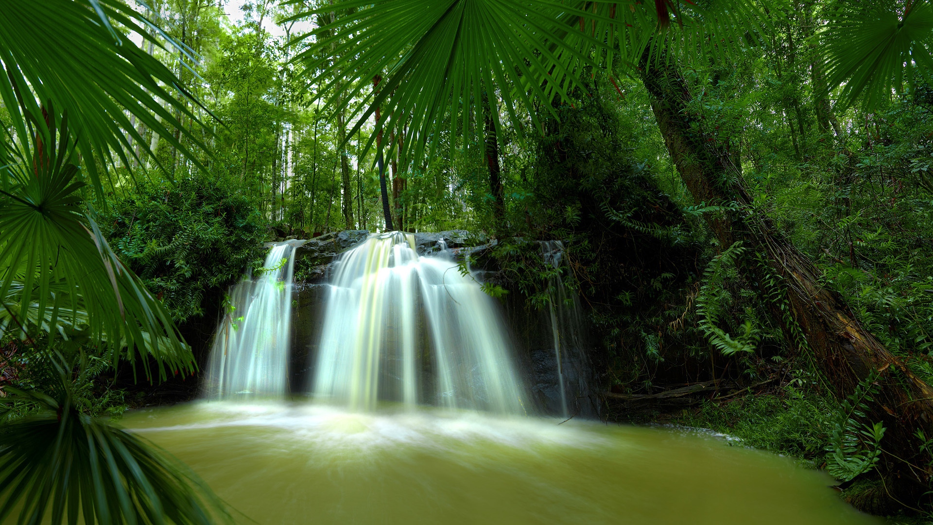 Free download wallpaper Waterfalls, Waterfall, Forest, Tree, Earth, Jungle, River on your PC desktop