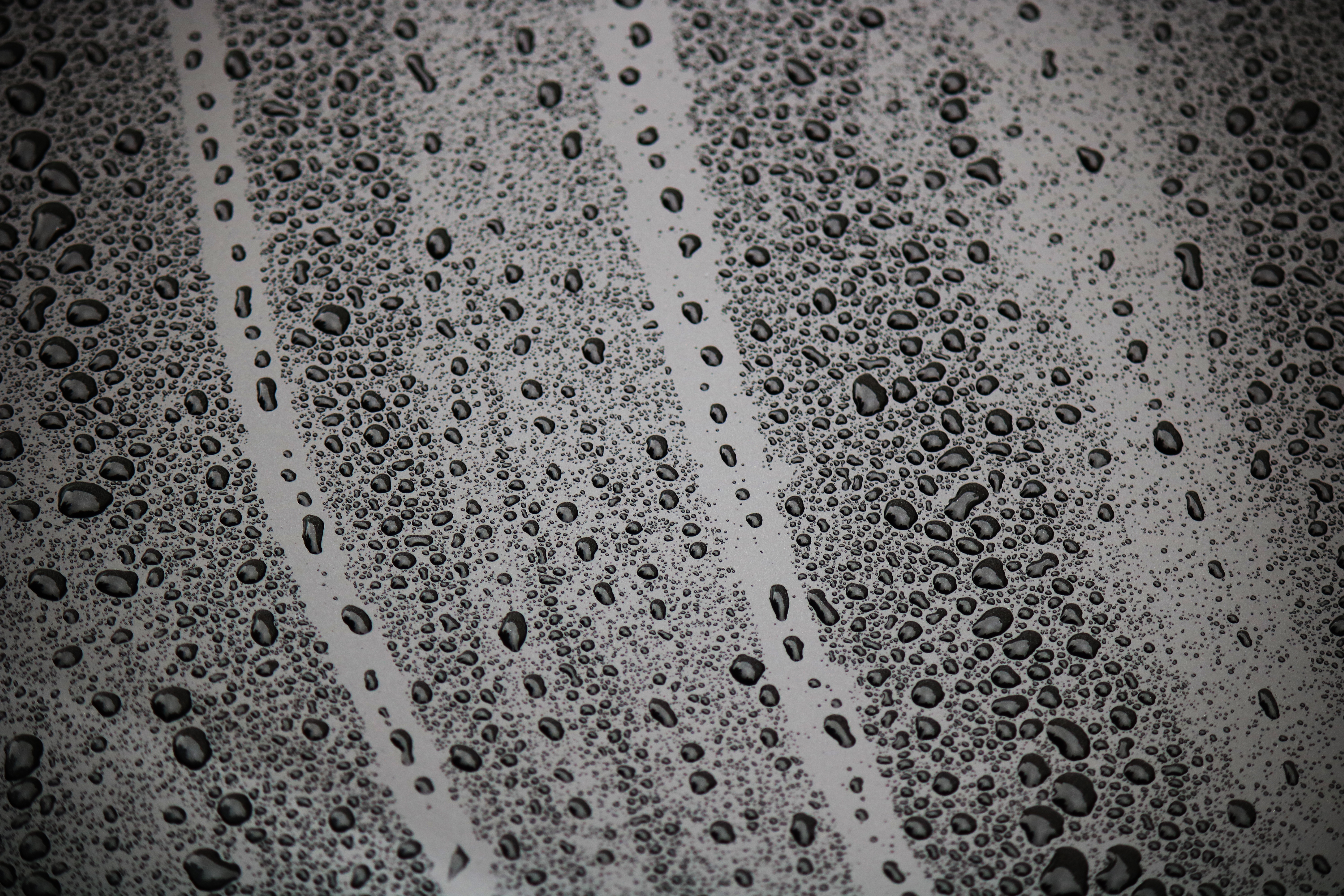 drops, macro, wet, surface, bw, chb, humid