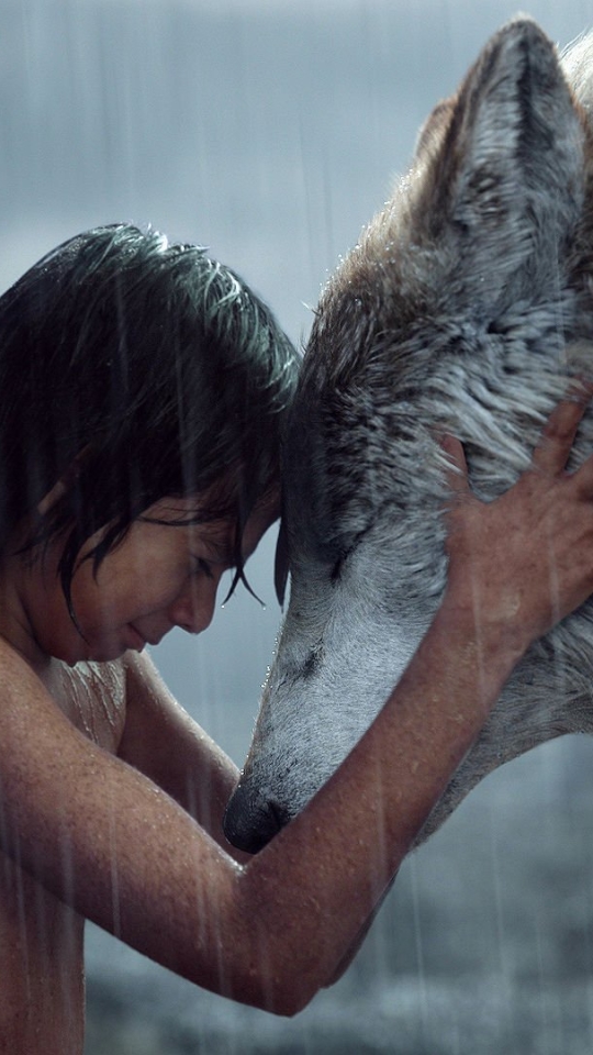 wolf, love, movie, the jungle book (2016), the jungle book, mowgli HD wallpaper