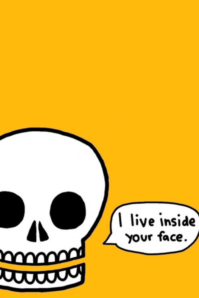 Download mobile wallpaper Funny, Skull, Humor for free.