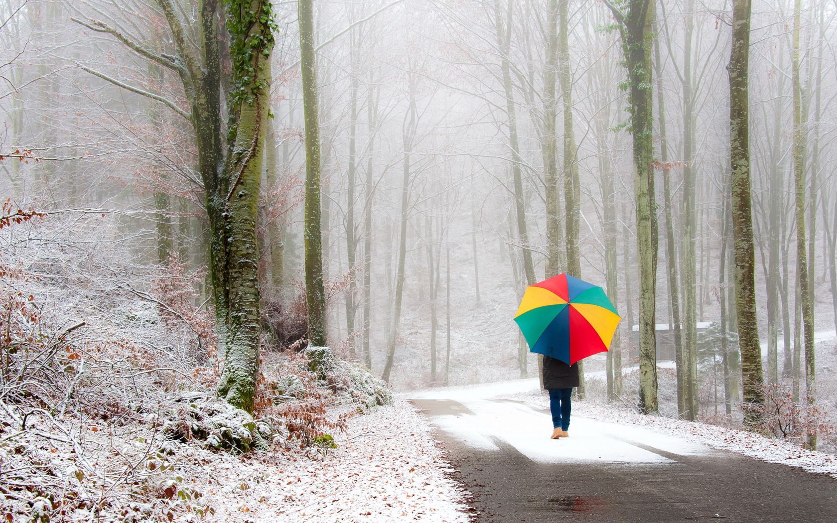 umbrella, person, nature, snow, road, park, fog, stroll, human