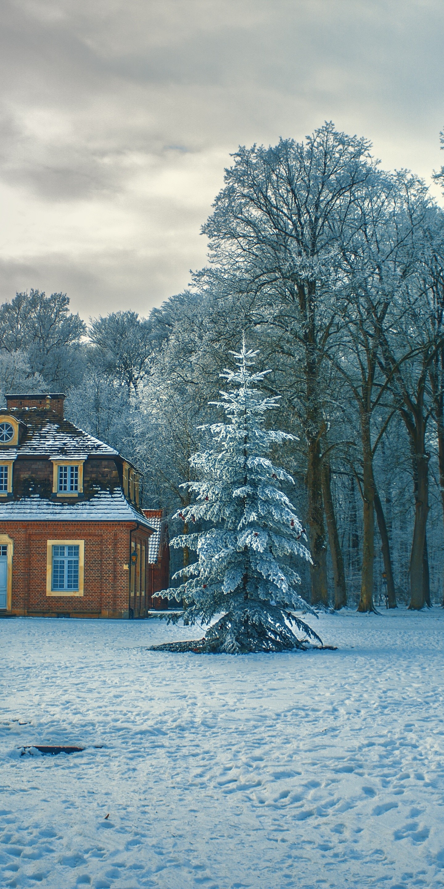 Скачати мобільні шпалери Зима, Фотографія безкоштовно.