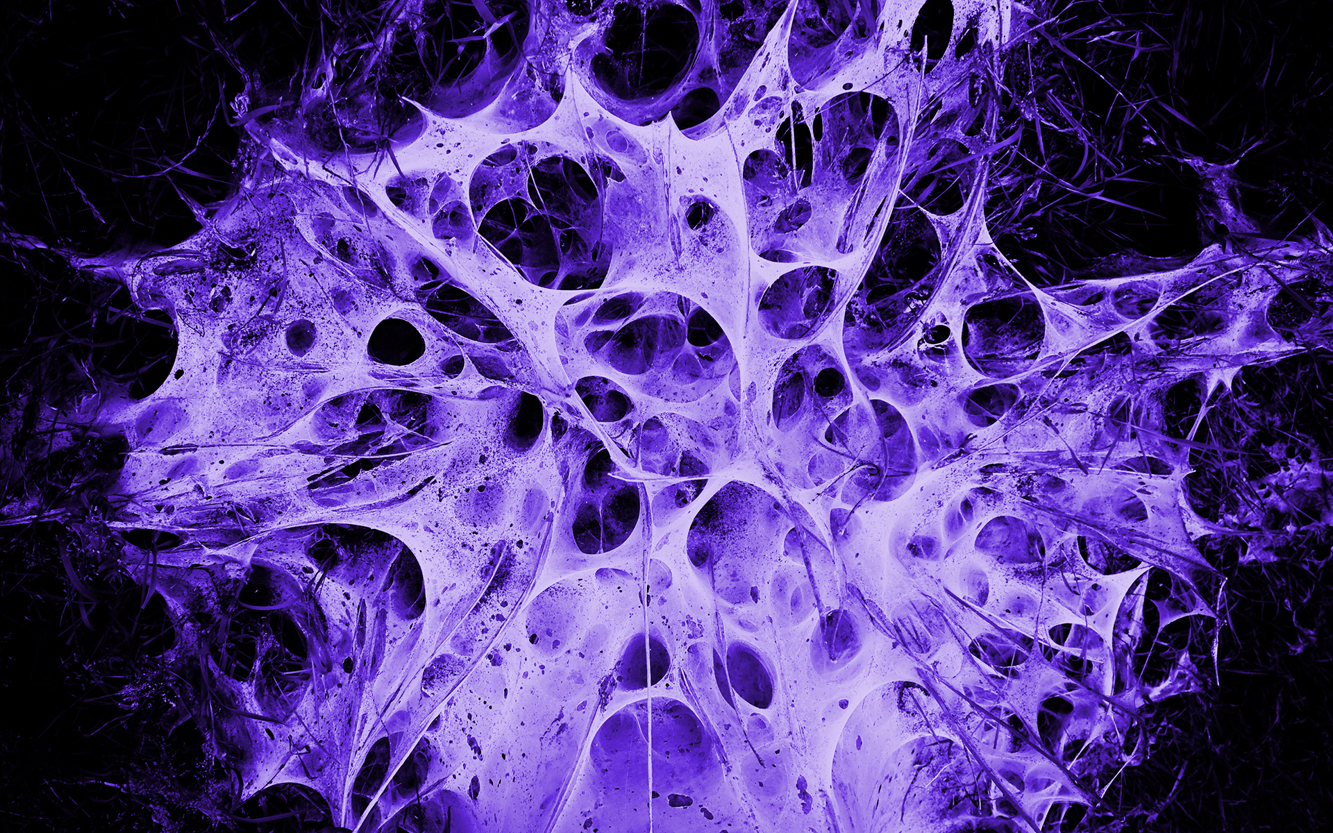 Download mobile wallpaper Purple, Abstract for free.