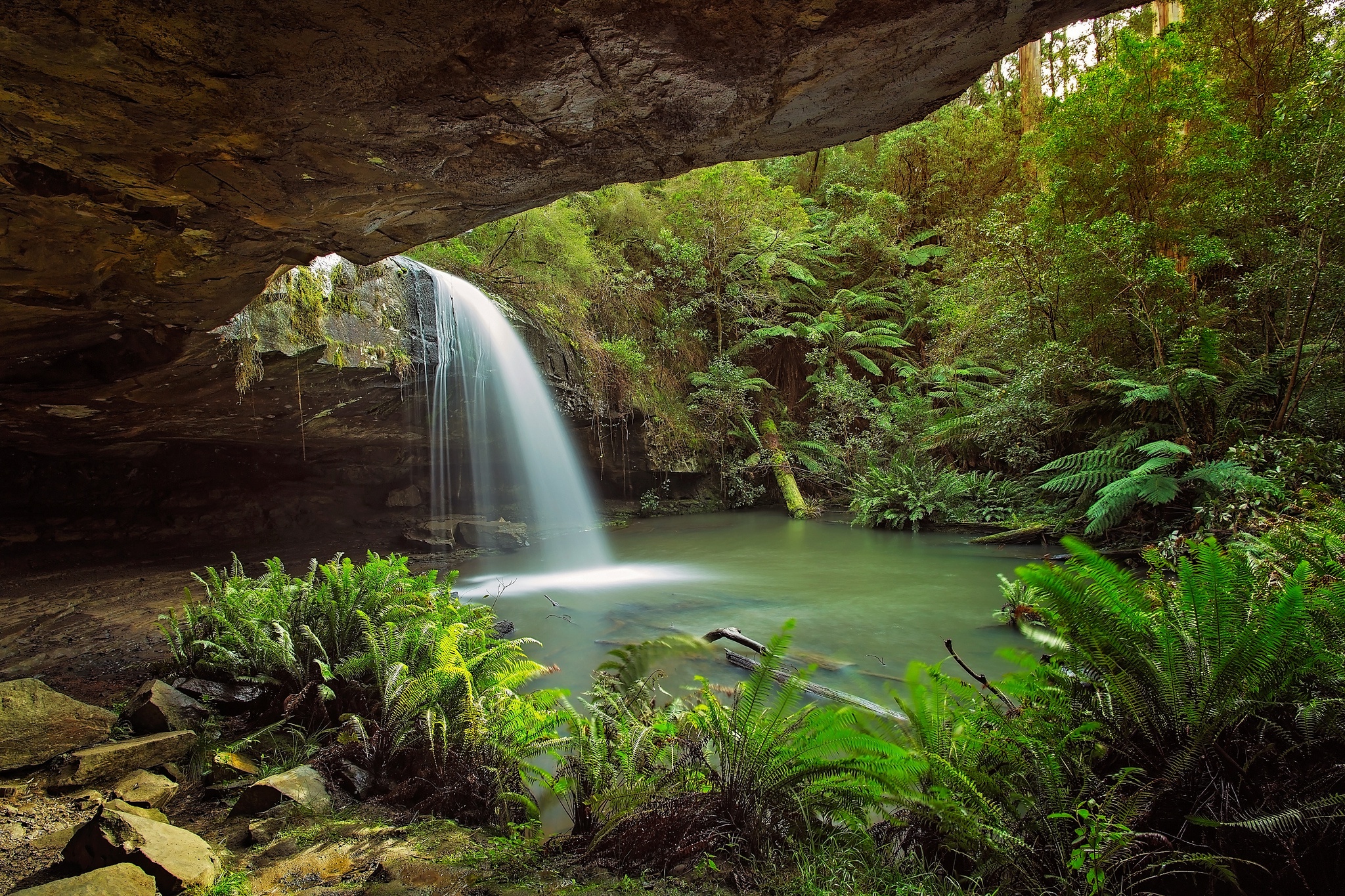Download mobile wallpaper Nature, Waterfalls, Waterfall, Fern, Earth, Australia, Greenery for free.