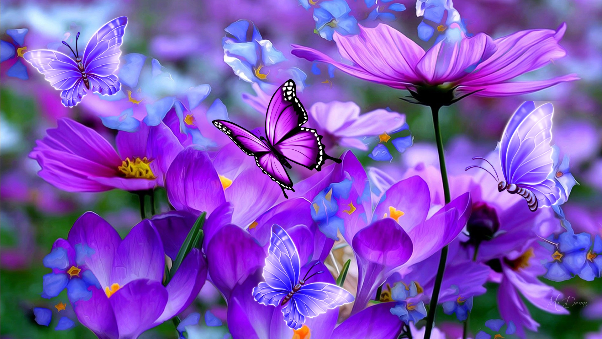 Free download wallpaper Flowers, Flower, Butterfly, Purple, Artistic, Cosmos on your PC desktop