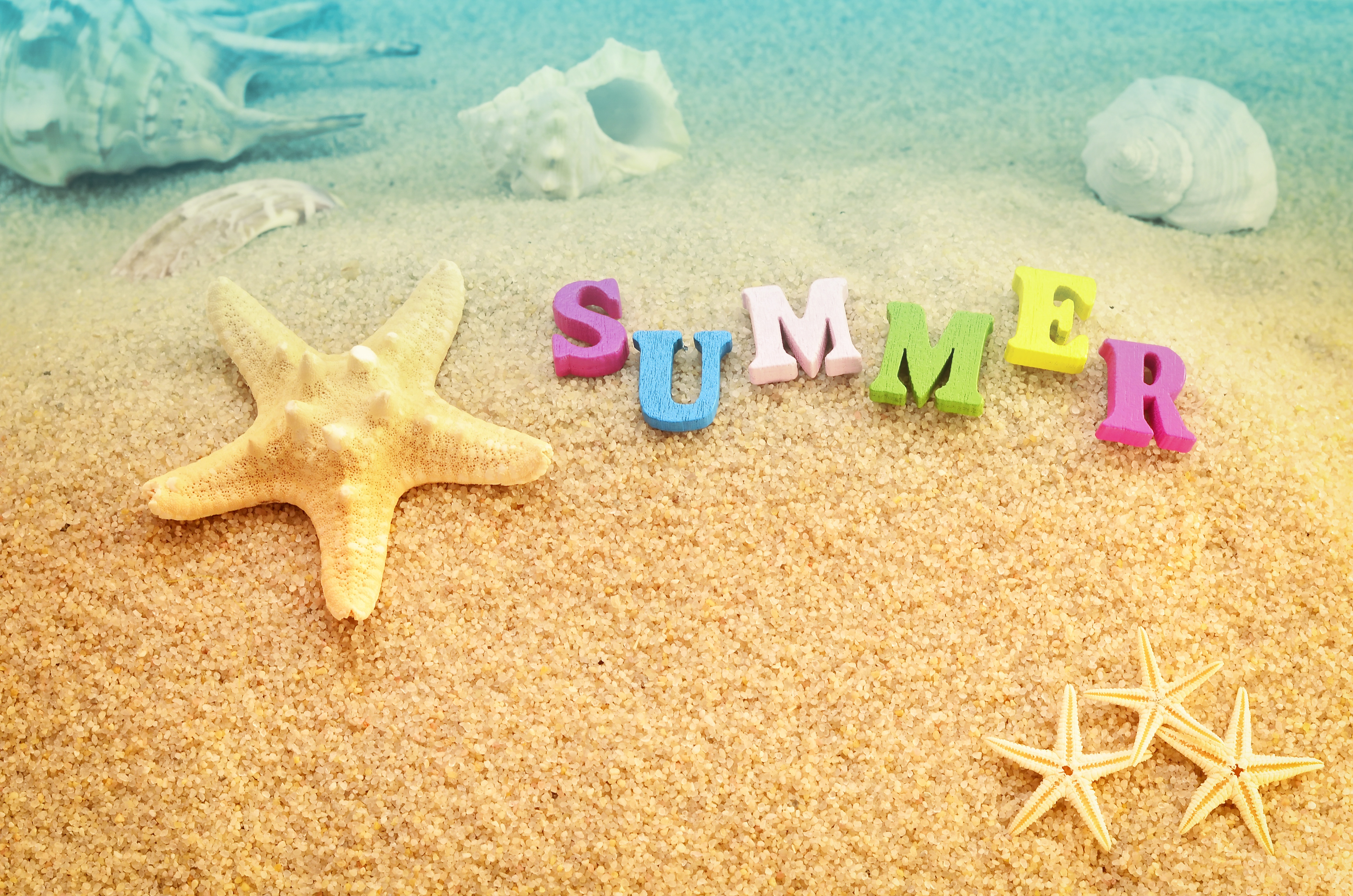 Download mobile wallpaper Sand, Summer, Starfish, Artistic, Shell for free.