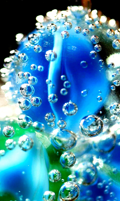 Скачать картинку Природа, Вода, Пузыри, Синий, Фотографии, Пузырь, Капля Воды в телефон бесплатно.