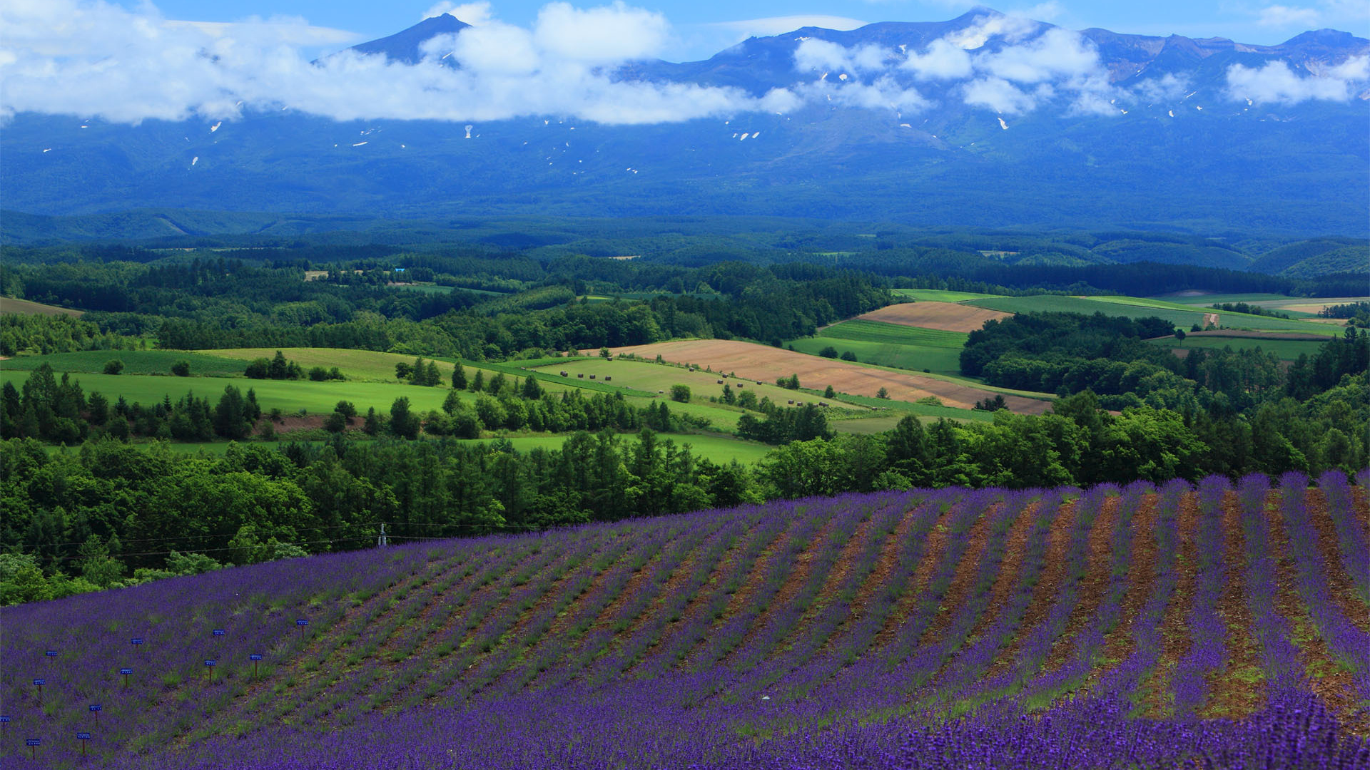 Téléchargez gratuitement l'image Terre/nature, Paysage sur le bureau de votre PC