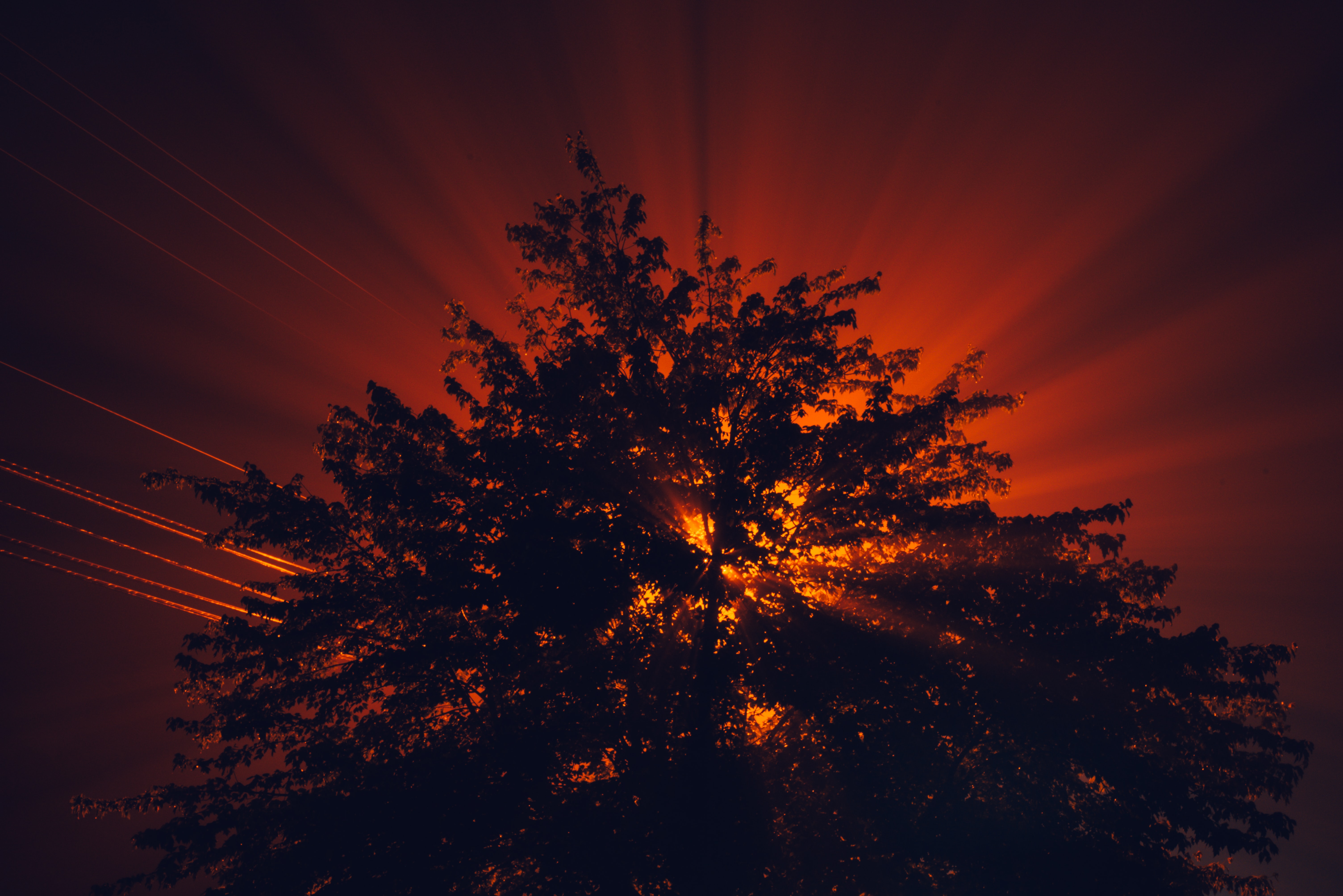 Download mobile wallpaper Beams, Trees, Rays, Nature, Sunset, Sun for free.