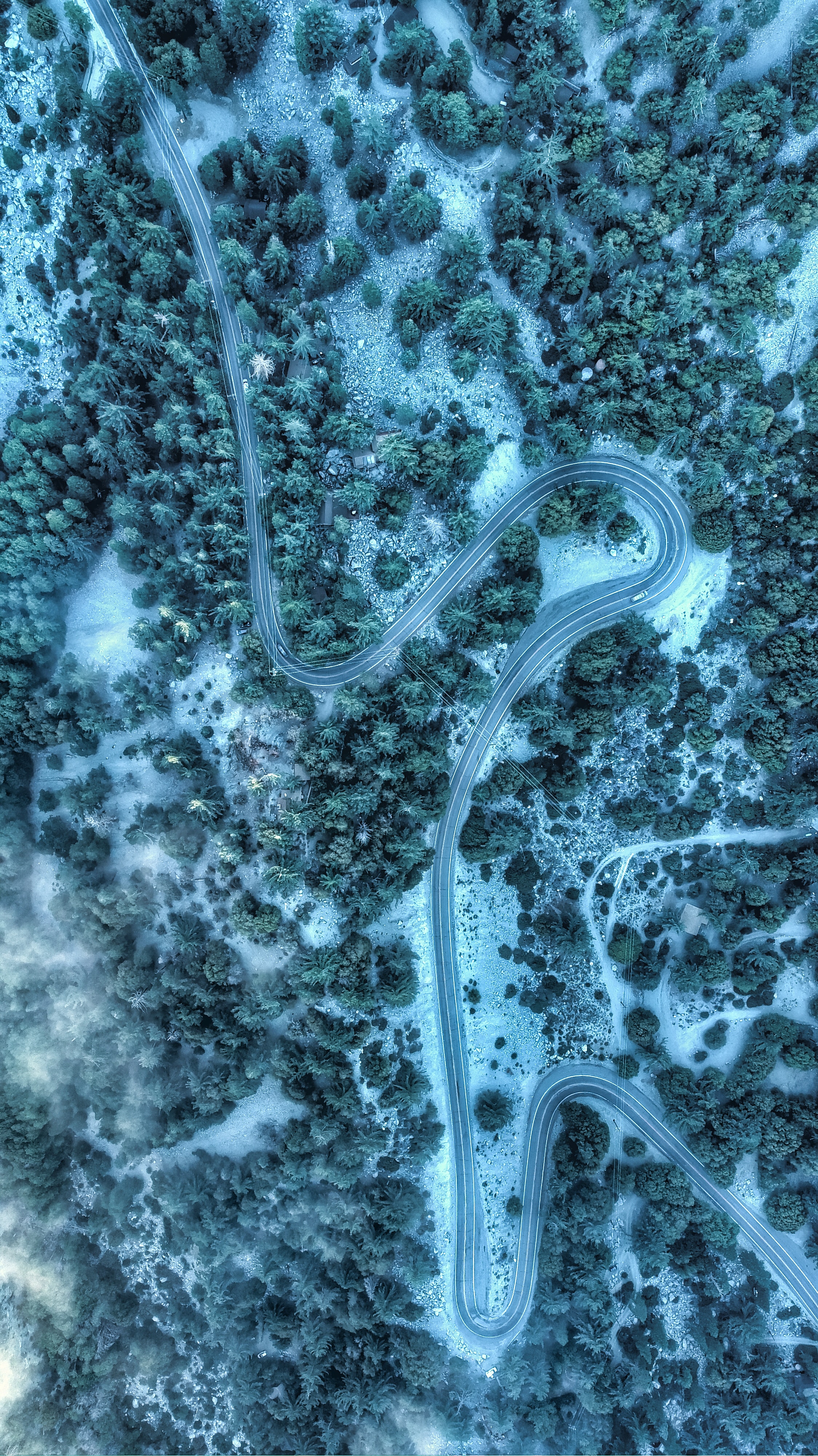 tops, nature, trees, view from above, top, road, winding, sinuous
