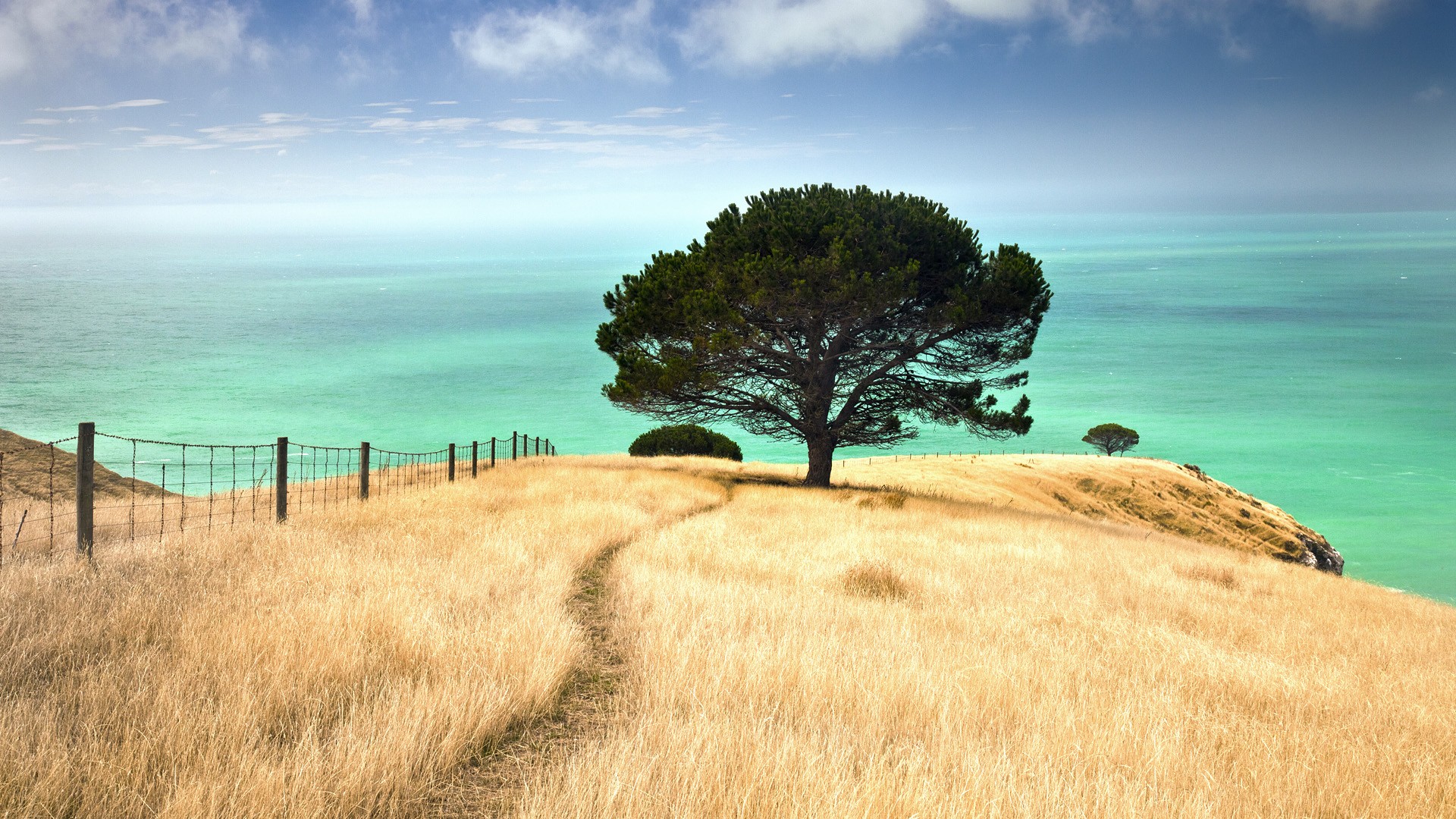 Laden Sie das Landschaft, Baum, Feld, Zaun, Gras, Szene, Erde/natur-Bild kostenlos auf Ihren PC-Desktop herunter