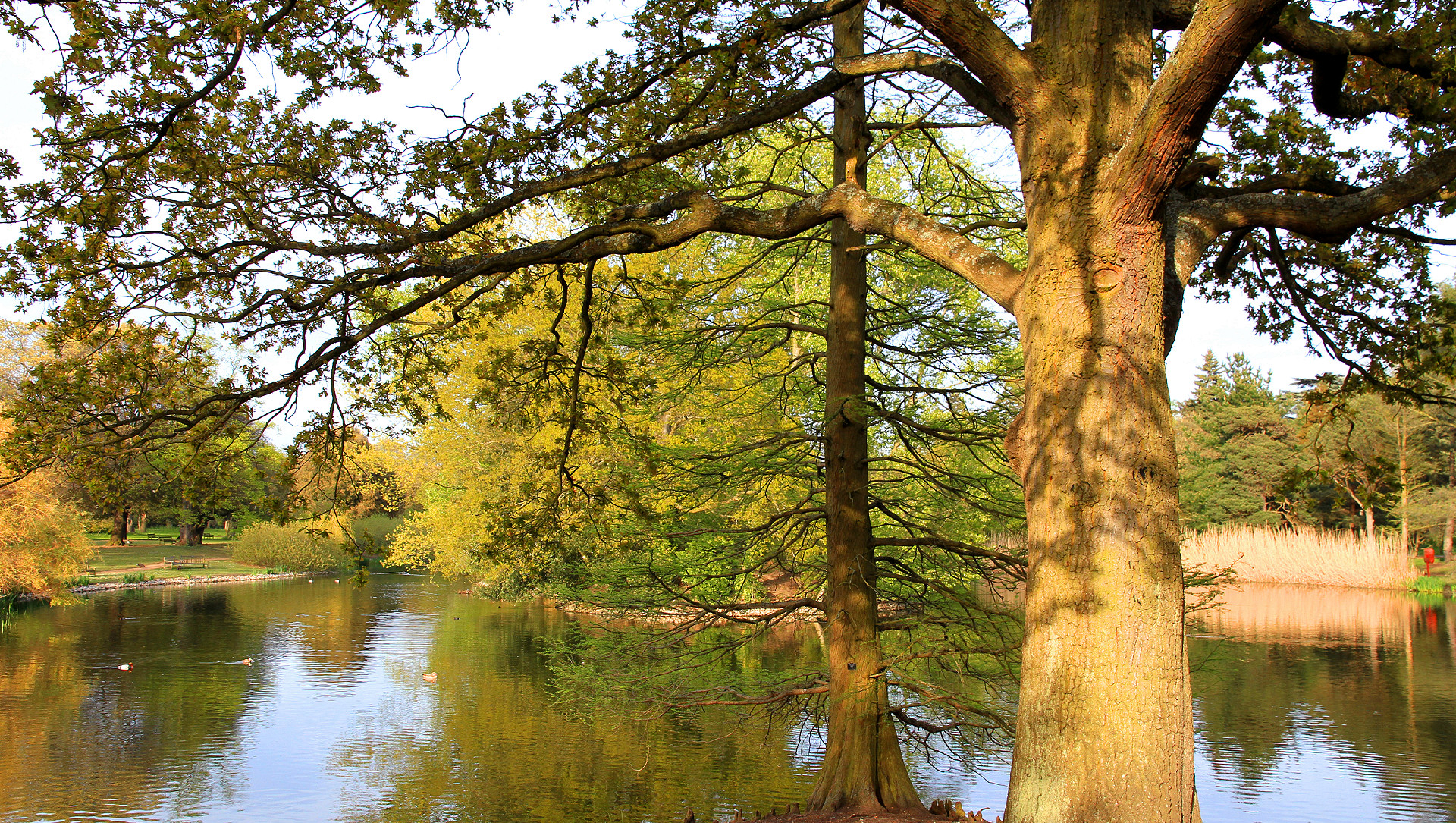 Laden Sie das Park, Fotografie-Bild kostenlos auf Ihren PC-Desktop herunter