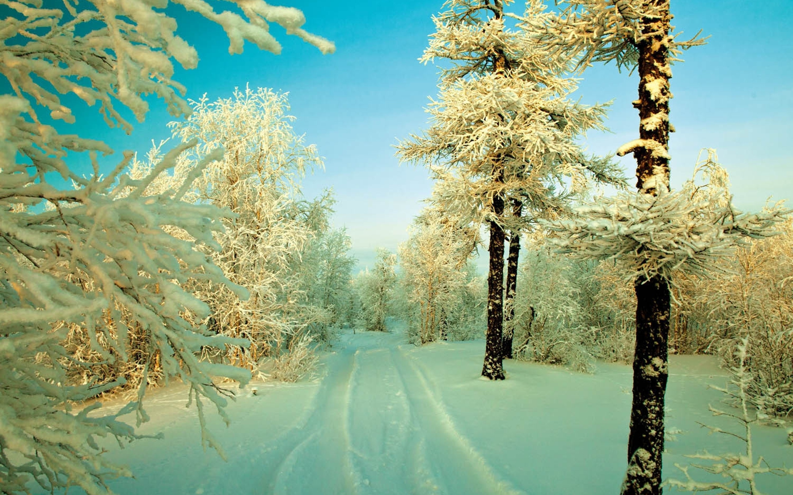 Free download wallpaper Winter, Earth on your PC desktop