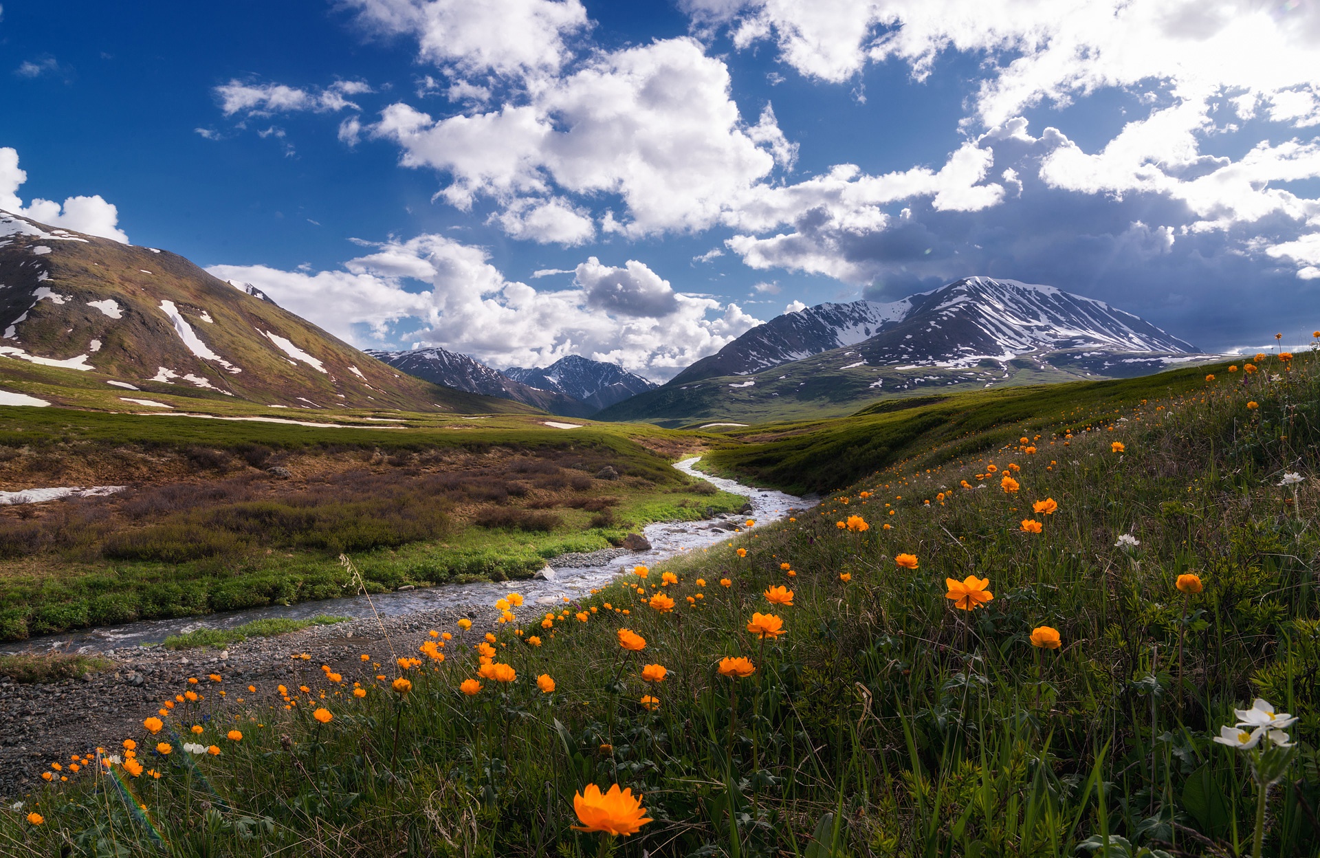 Free download wallpaper Landscape, Nature, Mountain, Earth, Stream, Orange Flower on your PC desktop