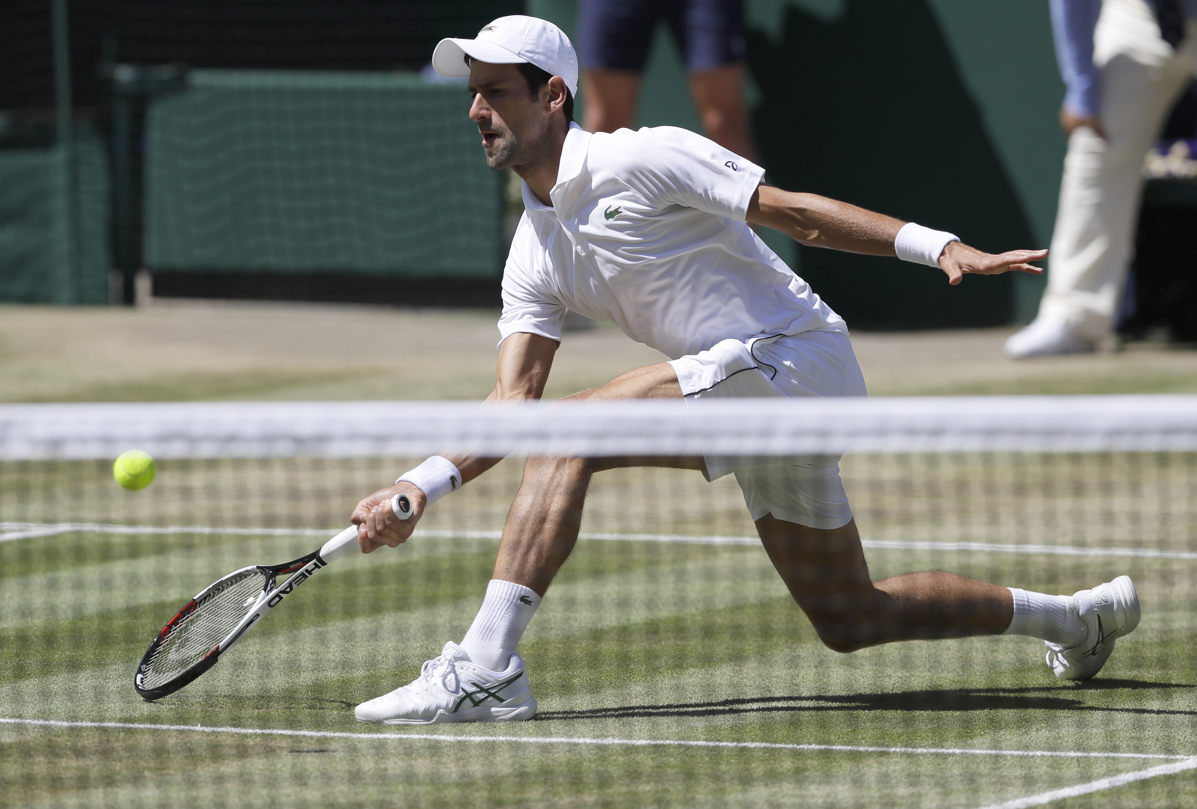 Laden Sie das Sport, Tennis, Serbisch, Novak Djokovic-Bild kostenlos auf Ihren PC-Desktop herunter