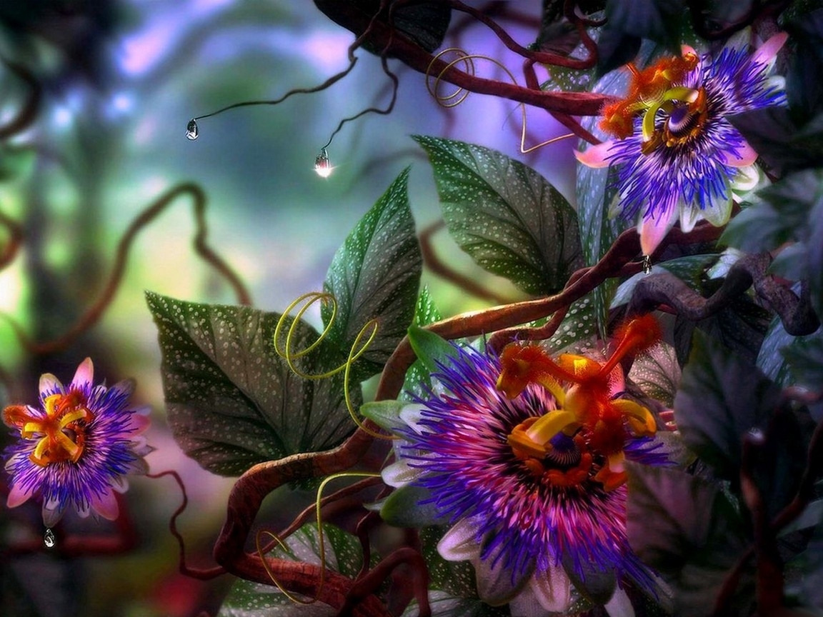wallpapers plants, fantasy, flowers