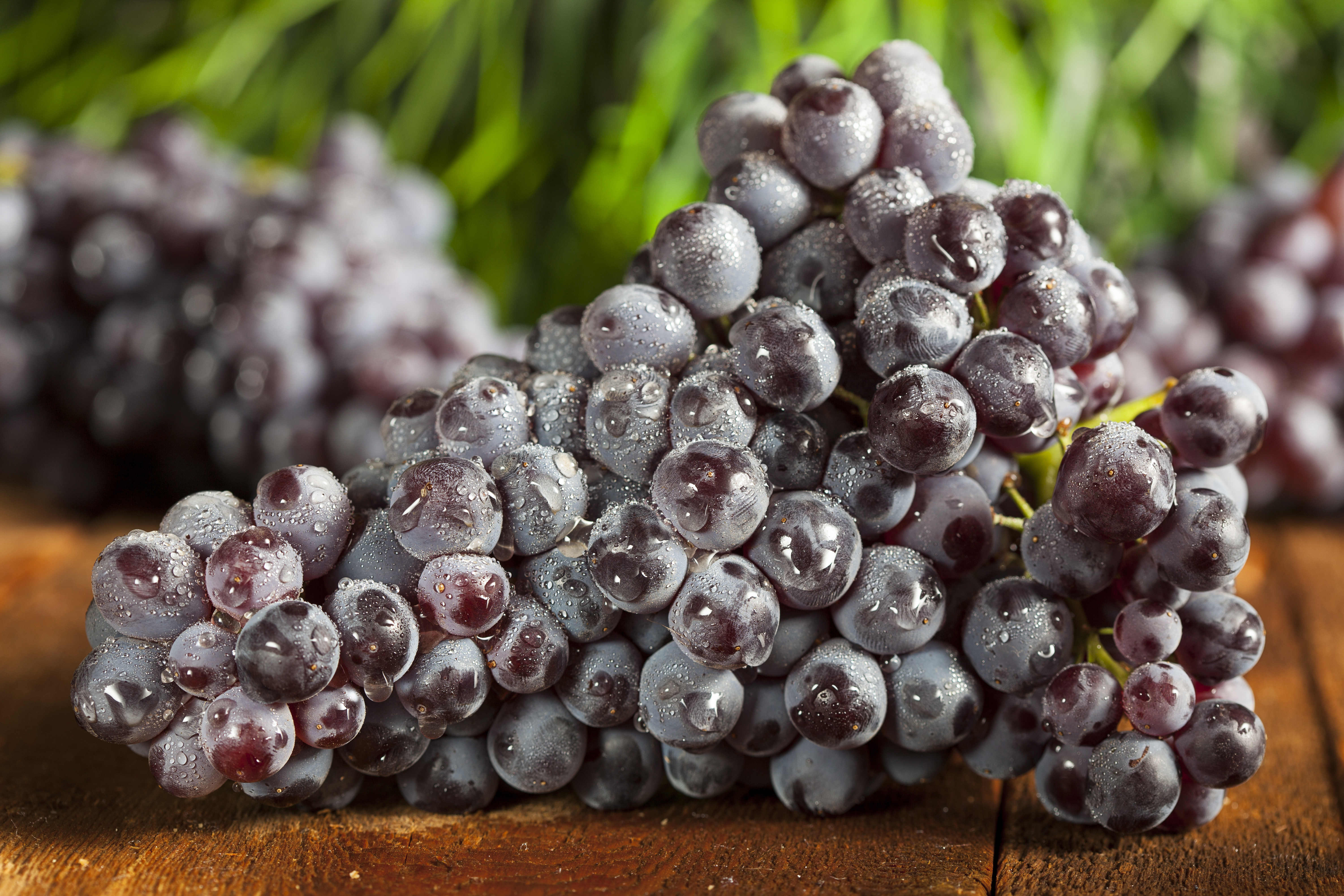 Download mobile wallpaper Fruits, Food, Grapes, Close Up for free.