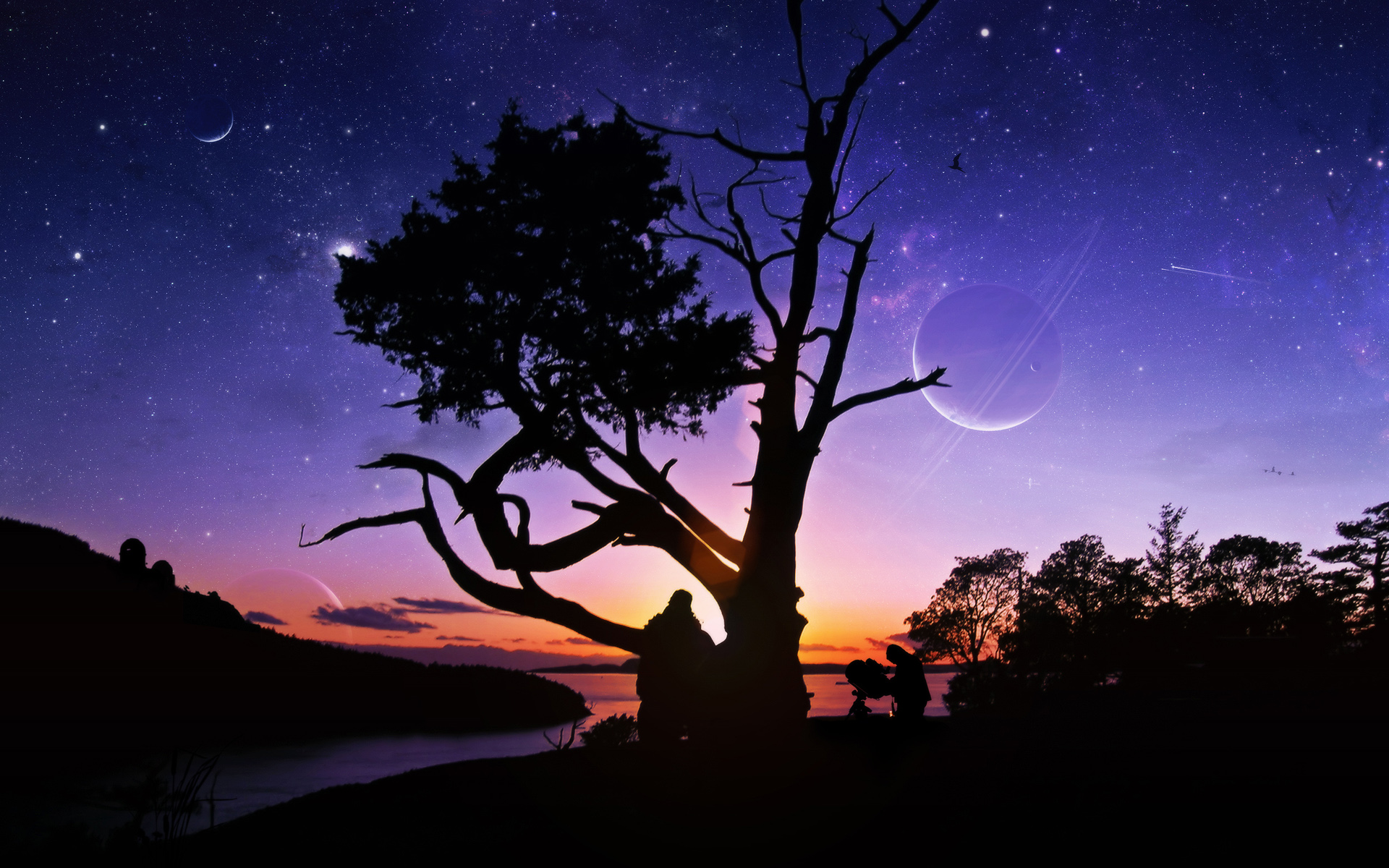 Laden Sie das Landschaft, Sterne, Baum, Planet, Science Fiction-Bild kostenlos auf Ihren PC-Desktop herunter