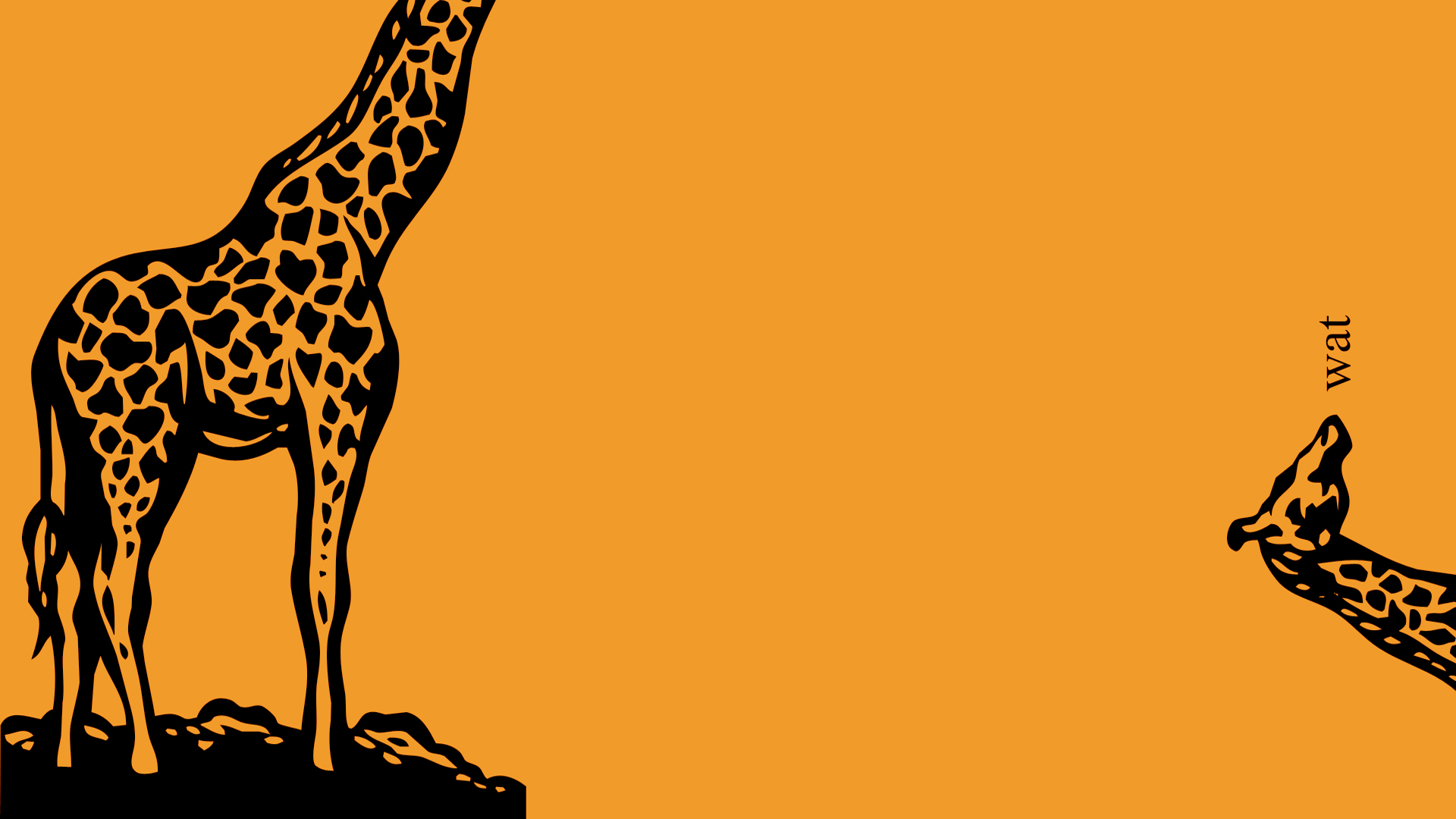 Baixar papel de parede para celular de Girafa, Animal, Humor gratuito.