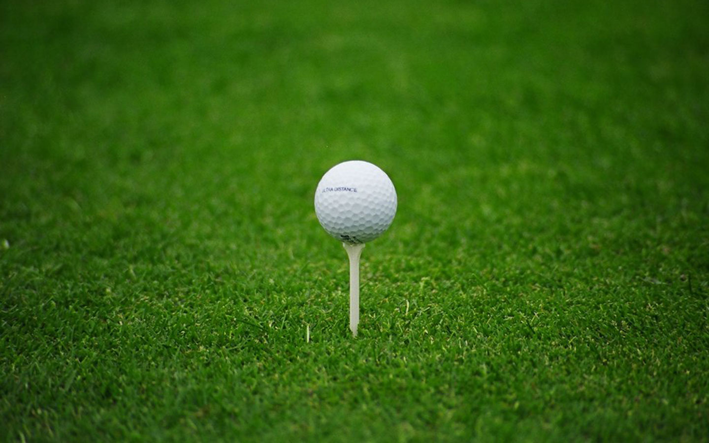Download mobile wallpaper Golf, Sports for free.